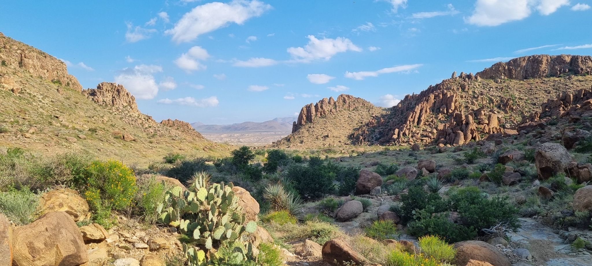 Desert valley with cacti and rocky mountains under a bright blue sky. - Balanced Rock Trail