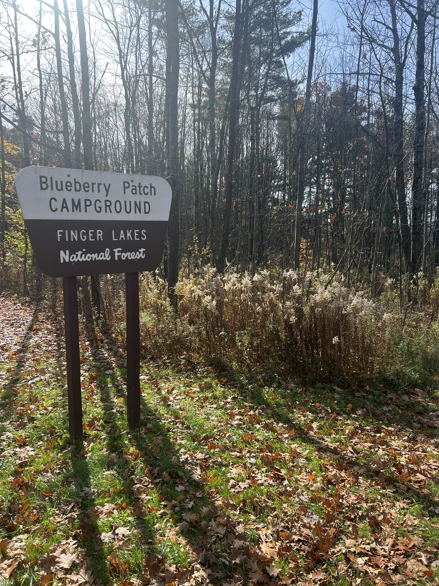 A wooden sign stands at the edge of a sunny forest with dry plants. - Potomac Ponds and Backbone Trail Loop