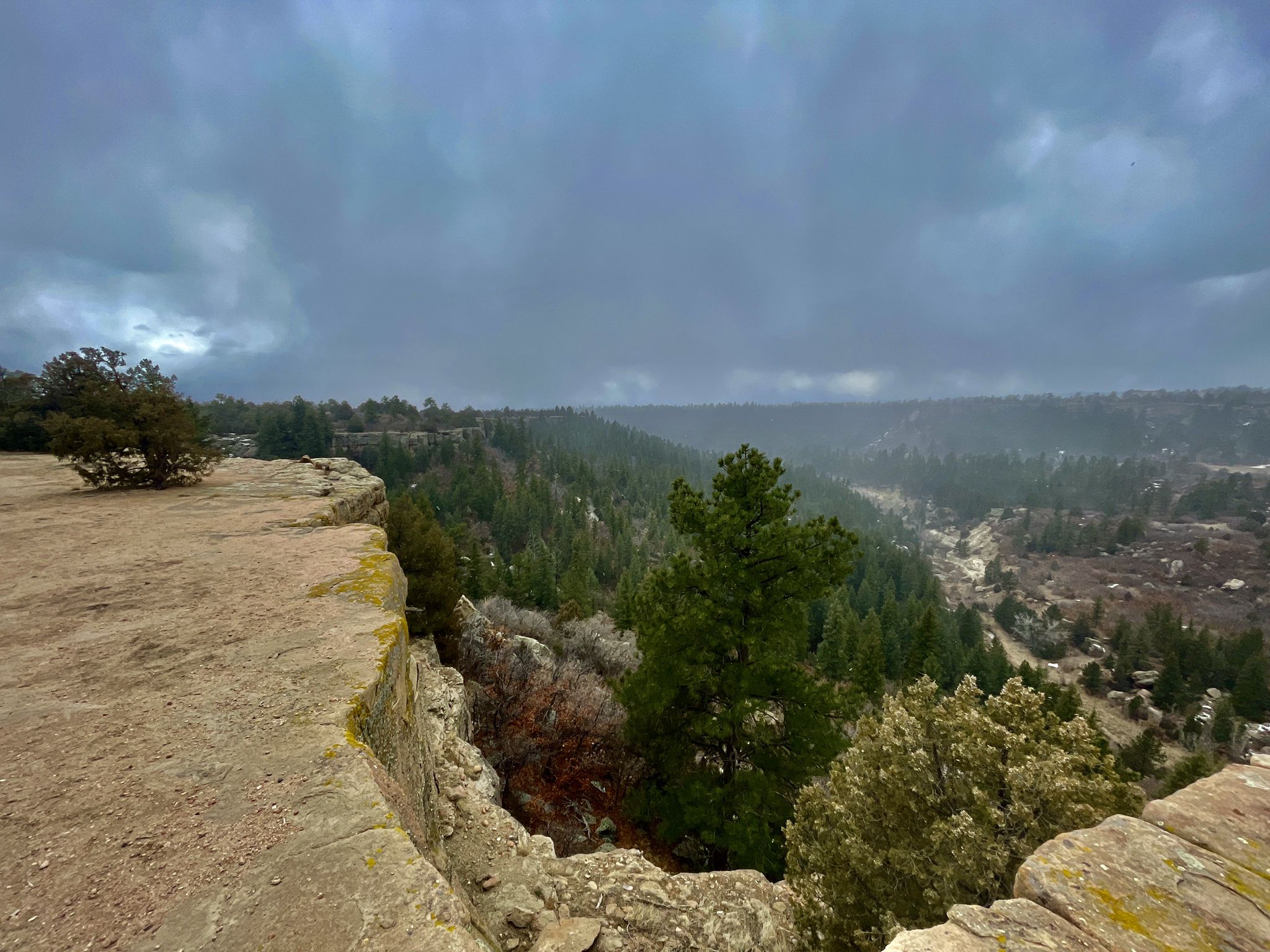 Rocky cliff edge overlooking a vast forested valley under a cloudy sky. - Rimrock and Creek Bottom Trail Loop