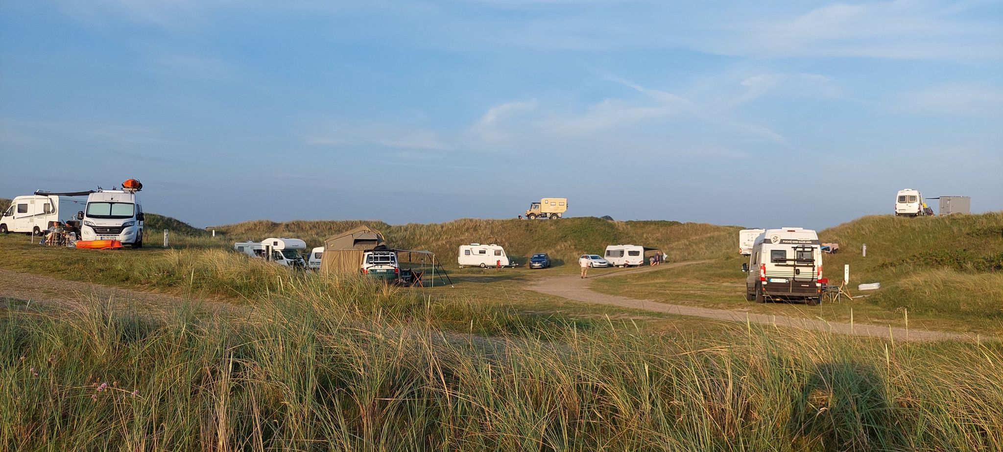 Wald-und Dnenpfade rund um Vejers Strand Camping im Abendlicht | Wanderung  | Komoot