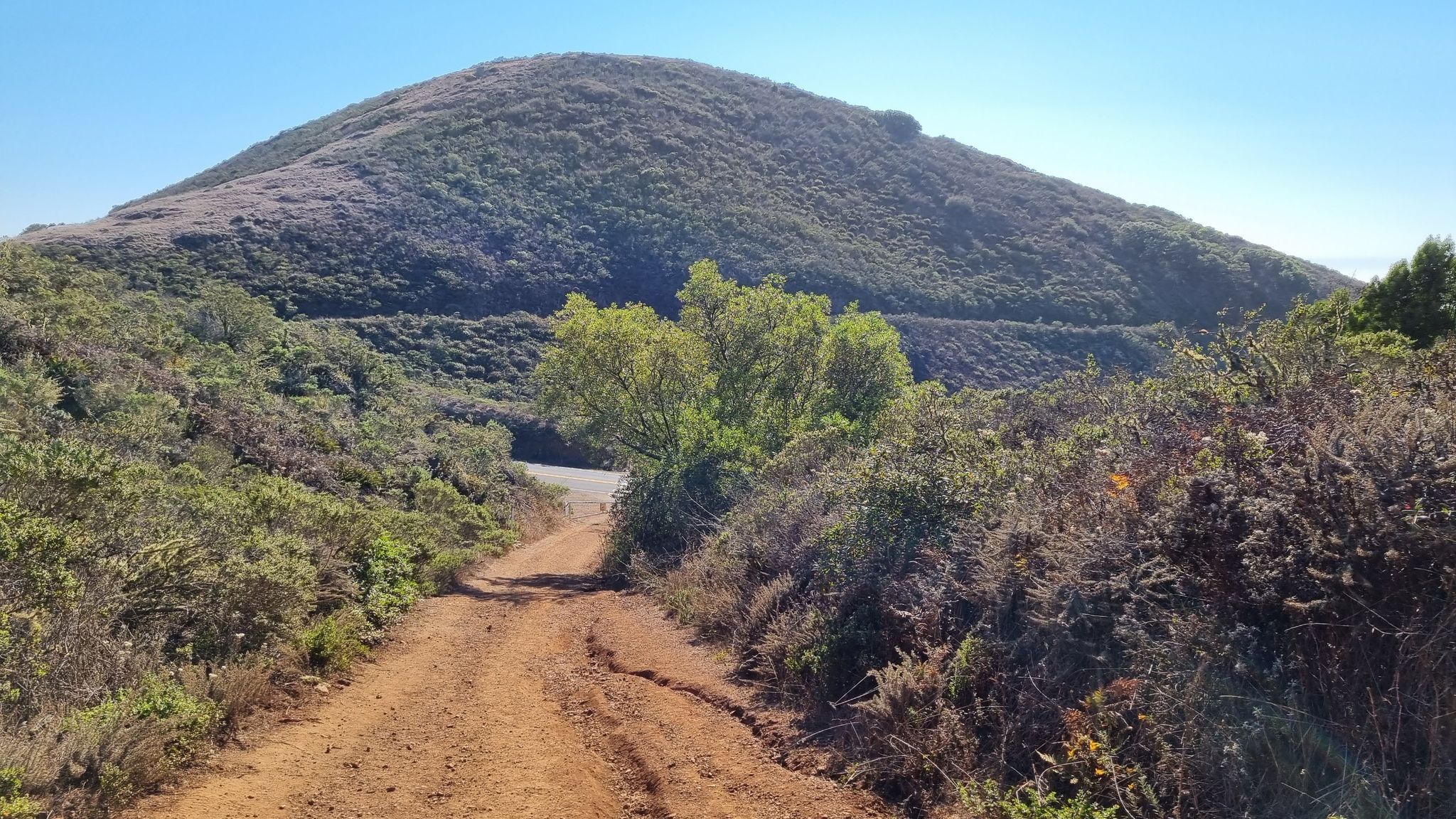 Sunny dirt road winding through green brush towards a large hill. - Julian Trail 🌿 Marin Headlands – Gerbode Valley Trailhead loop from Sausalito