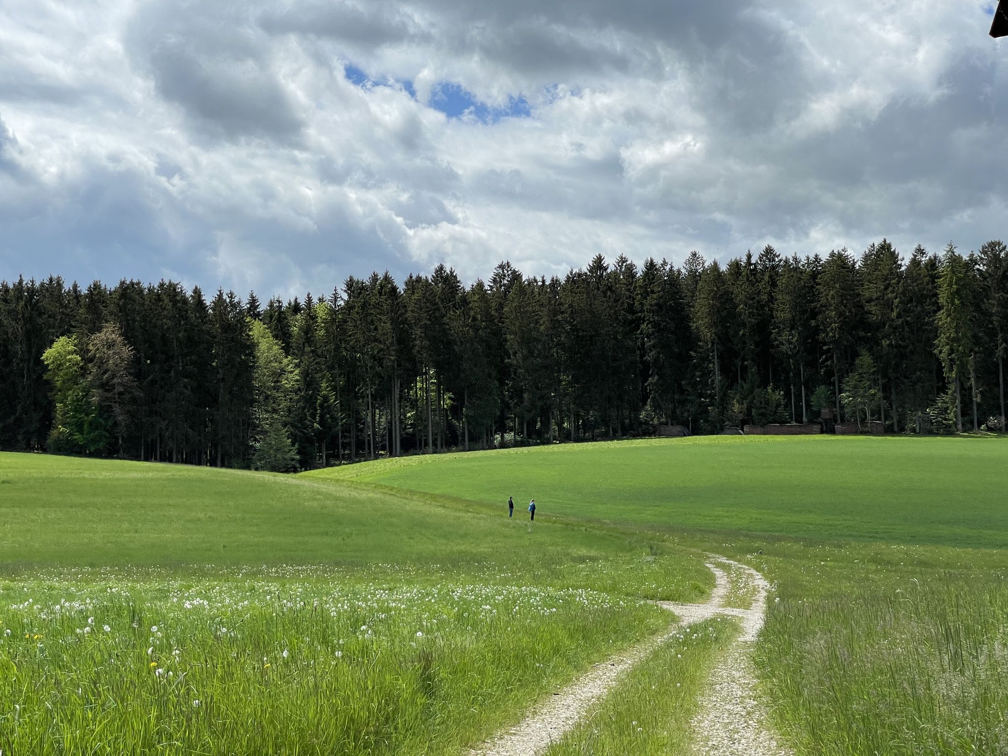 Glück gehabt, es fallen nur ein paar Tröpfchen, während wir durch den Wald radeln.