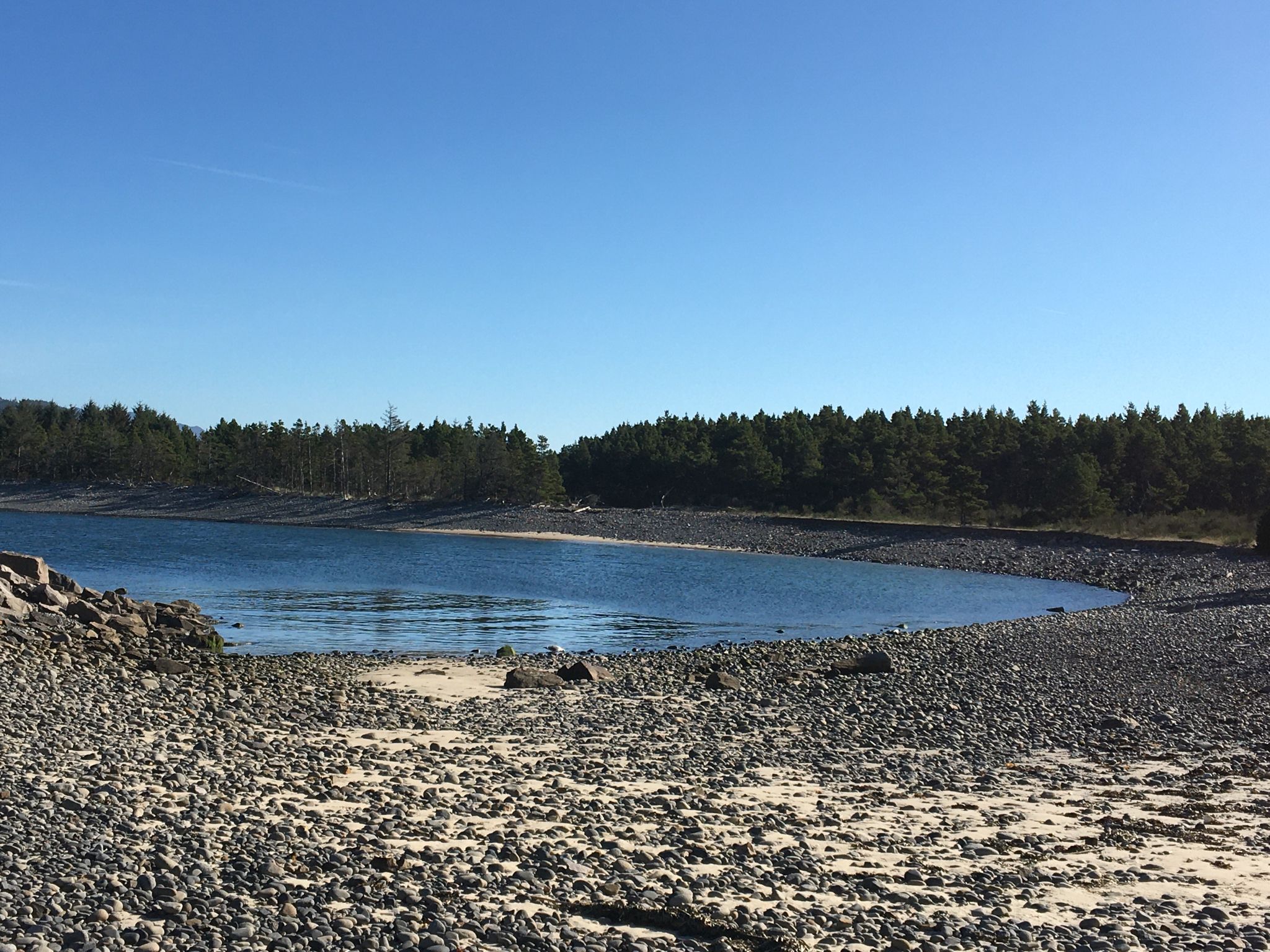 Rocky beach, calm blue water, and dense forest under a clear sky. - Bayocean Peninsula