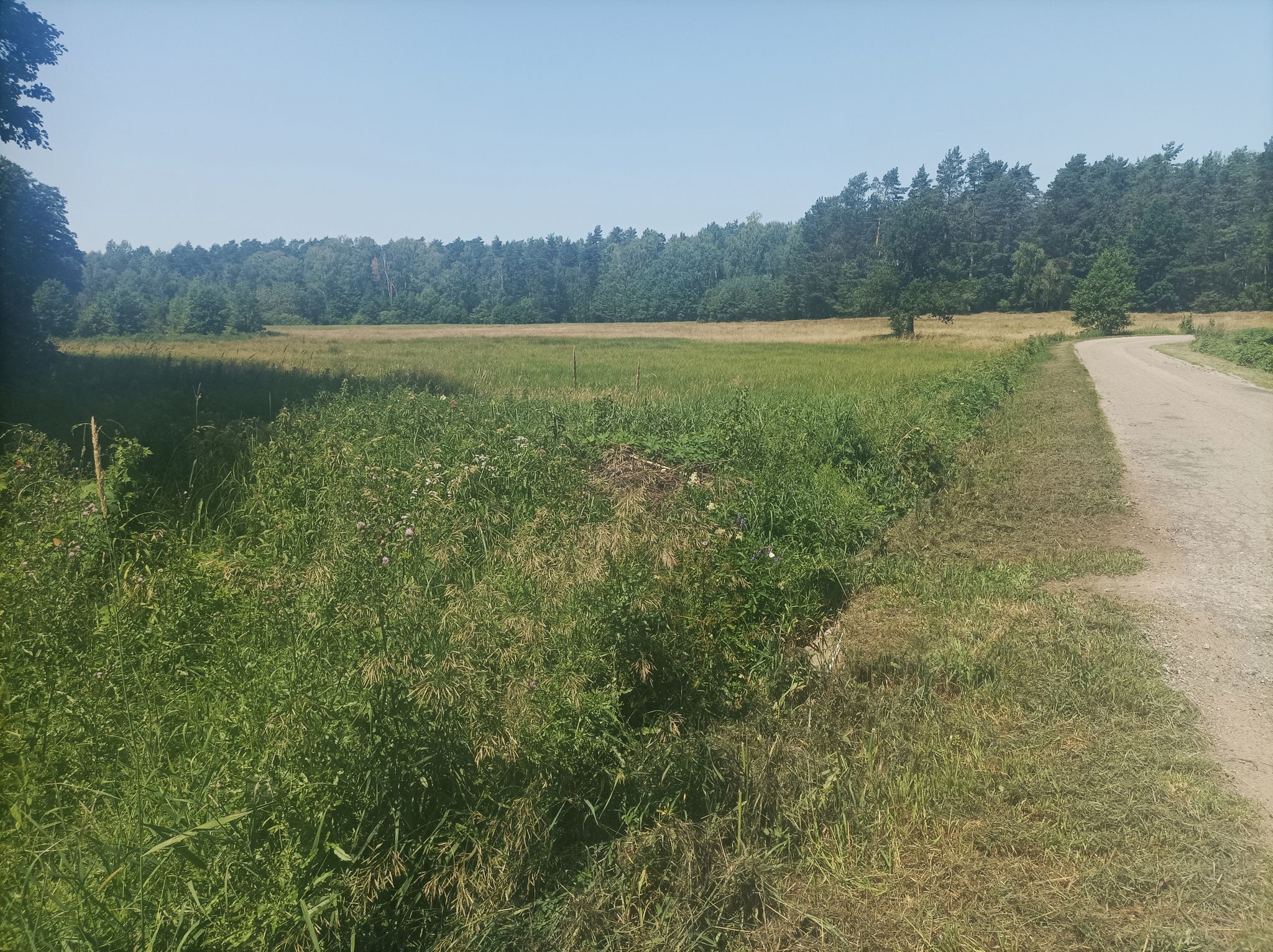 To urokliwe, ale złowrogie miejsce, gdzie na wyboju straciłem moją zapasową butelkę wody. Słuch o niej zaginął.