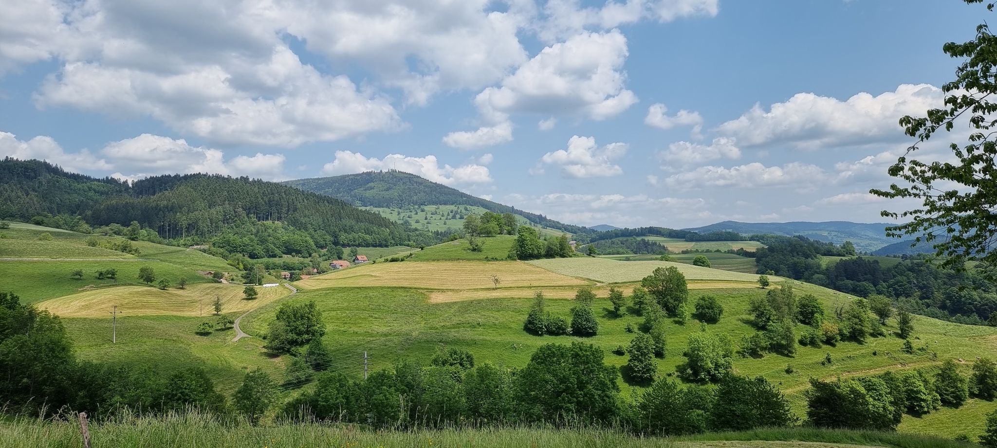 Zeller Blauen