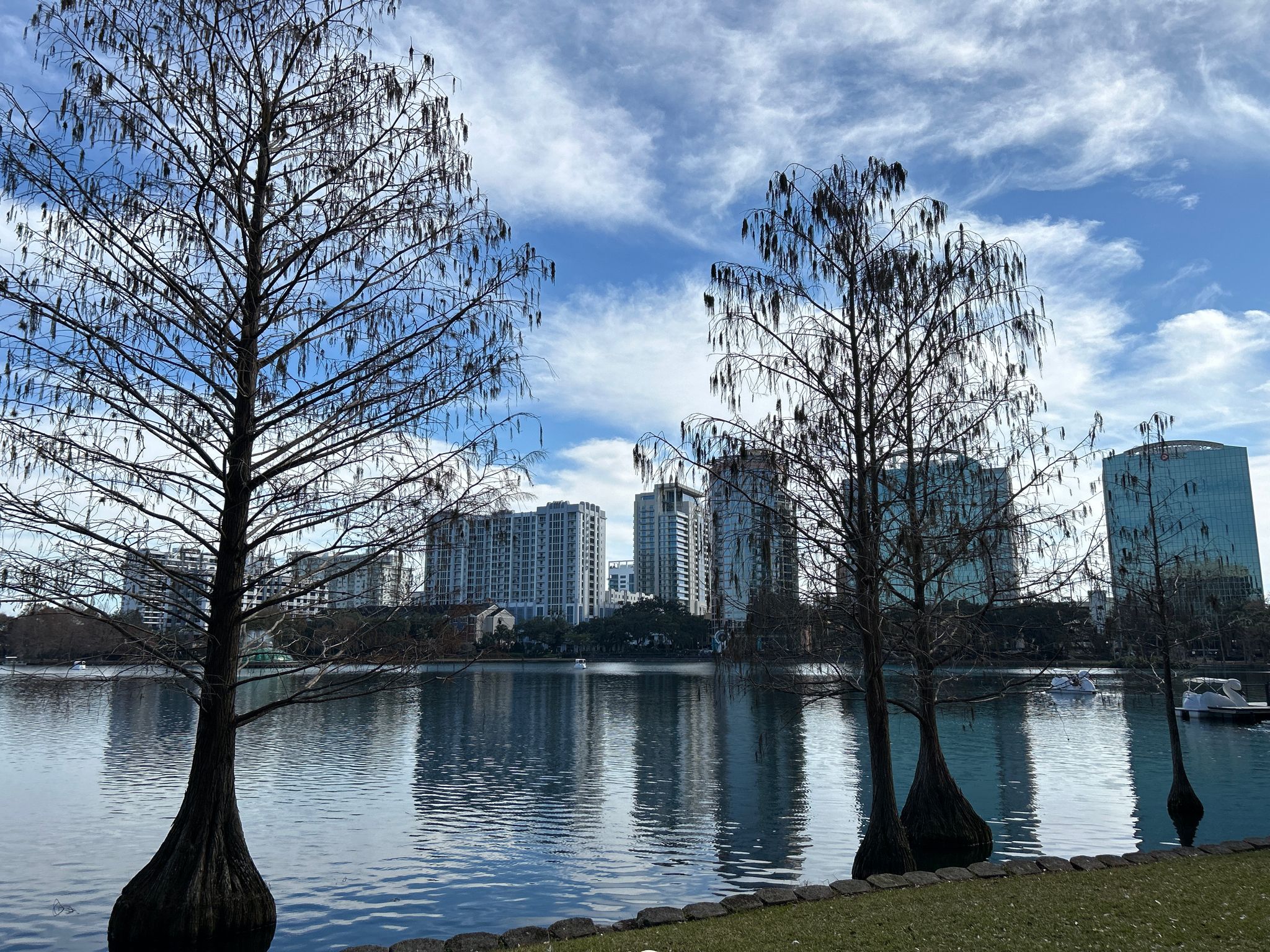 Bare trees frame a lake with city buildings under a cloudy sky. - Lake Eola Park loop