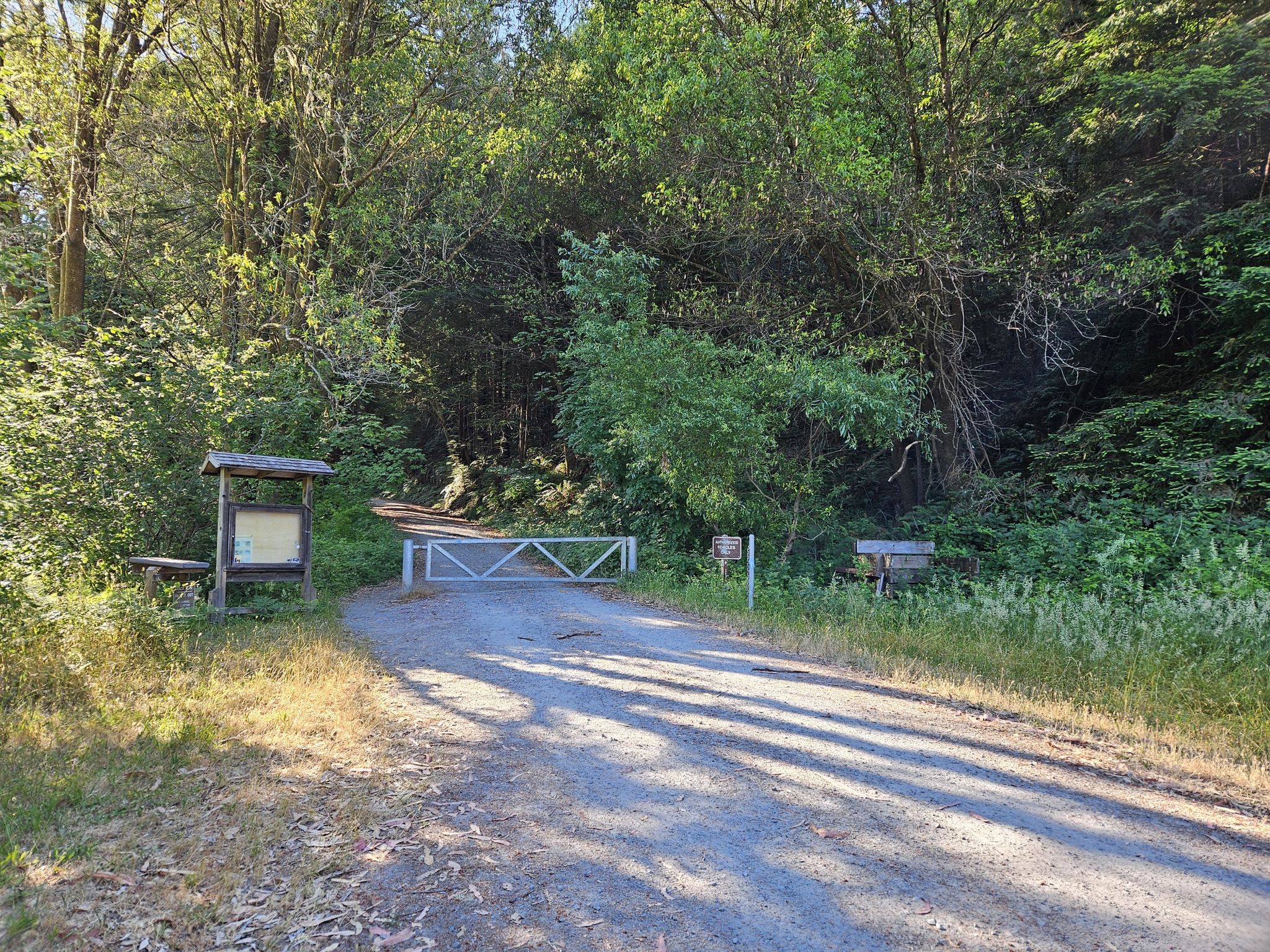 Dirt road leading to a closed metal gate surrounded by green trees. - Islands in the Sky, Seven Springs, and Snaps Trail Loop