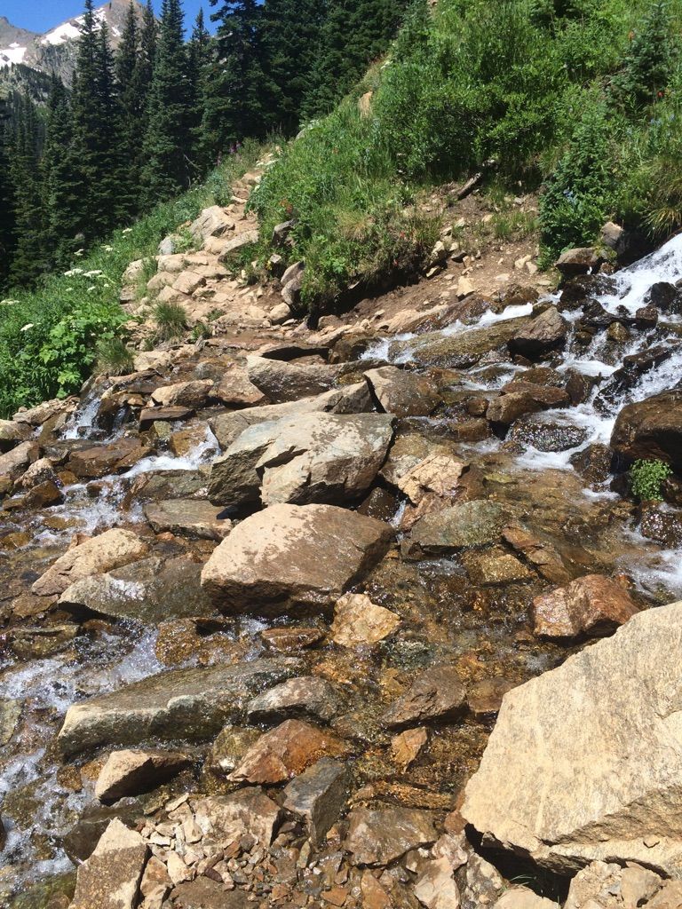A rocky stream cascades down a lush, green hillside under bright sunlight. - Arapaho Pass Trail