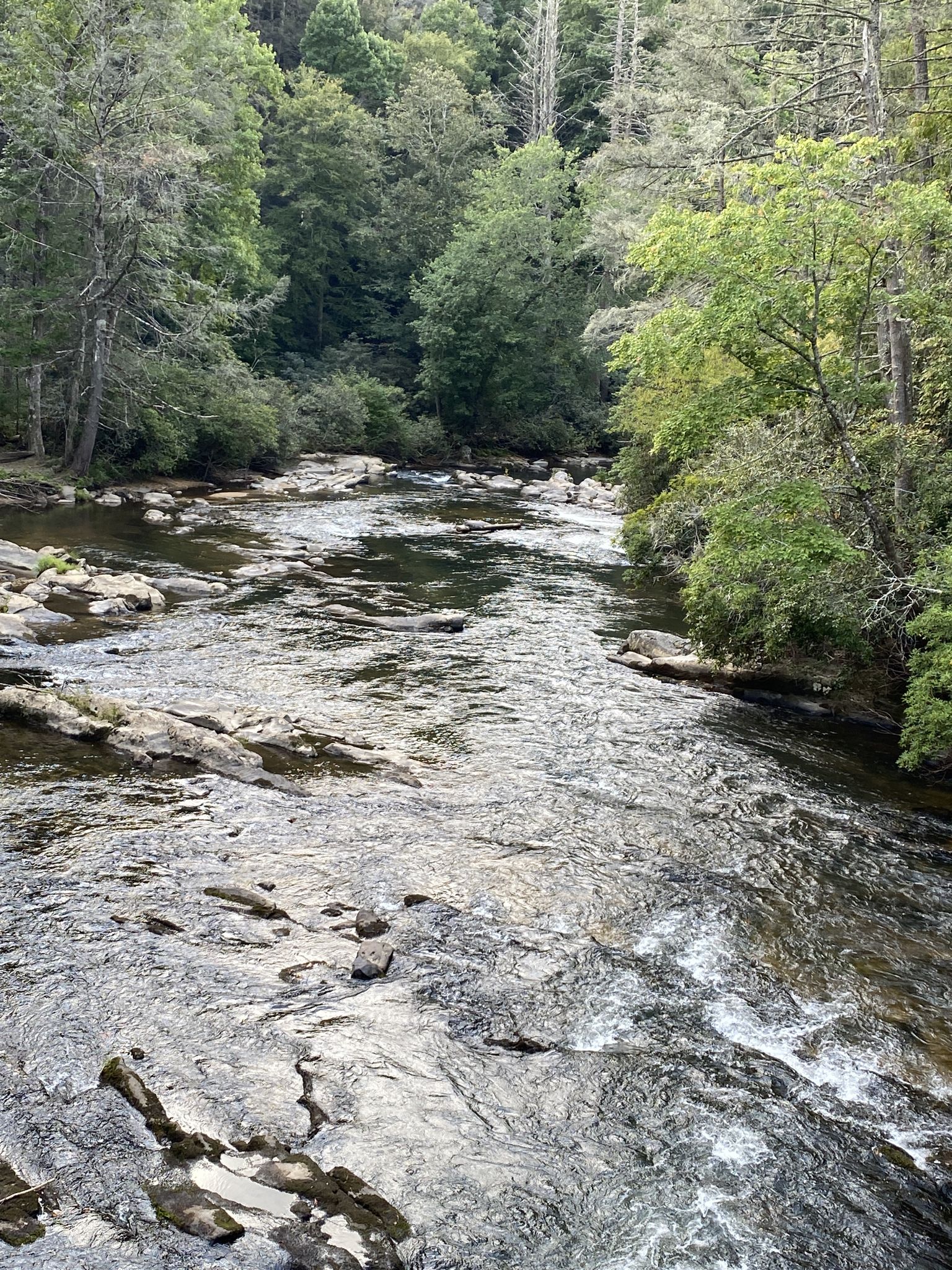 A rocky river with flowing water, surrounded by green trees on a bright day. - Benton MacKaye and Tooni Mountain Loop