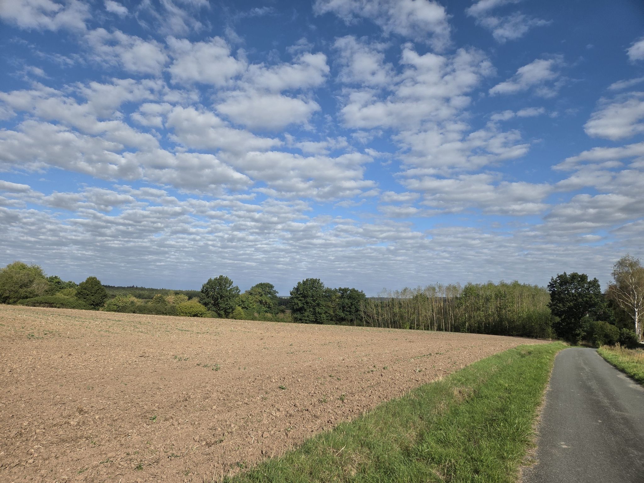 Weitblick