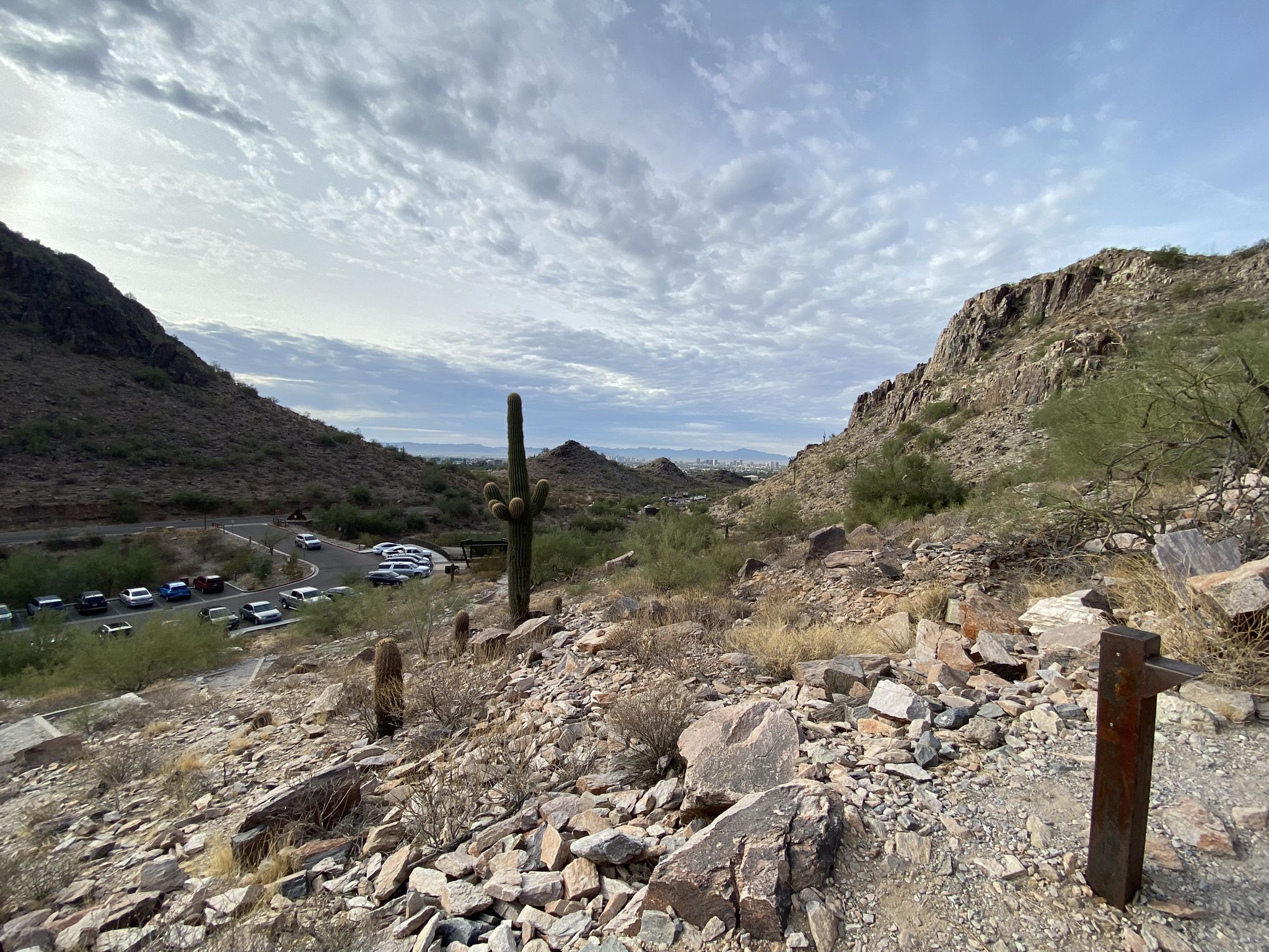 Rocky desert landscape with saguaro cactus, parking lot, and distant city. - Freedom Trail 302