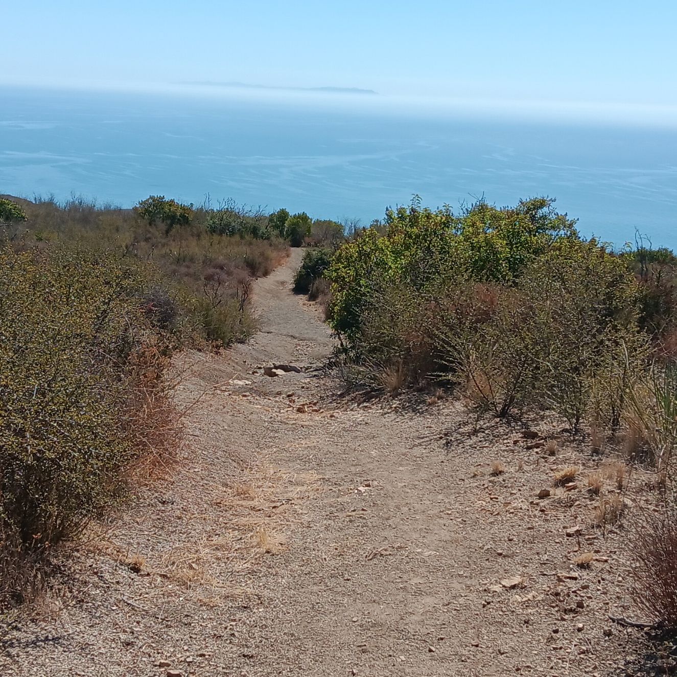 A dirt path leads through dry brush towards a vast blue ocean. - Malibu Springs and Nicholas Flat Trail Loop