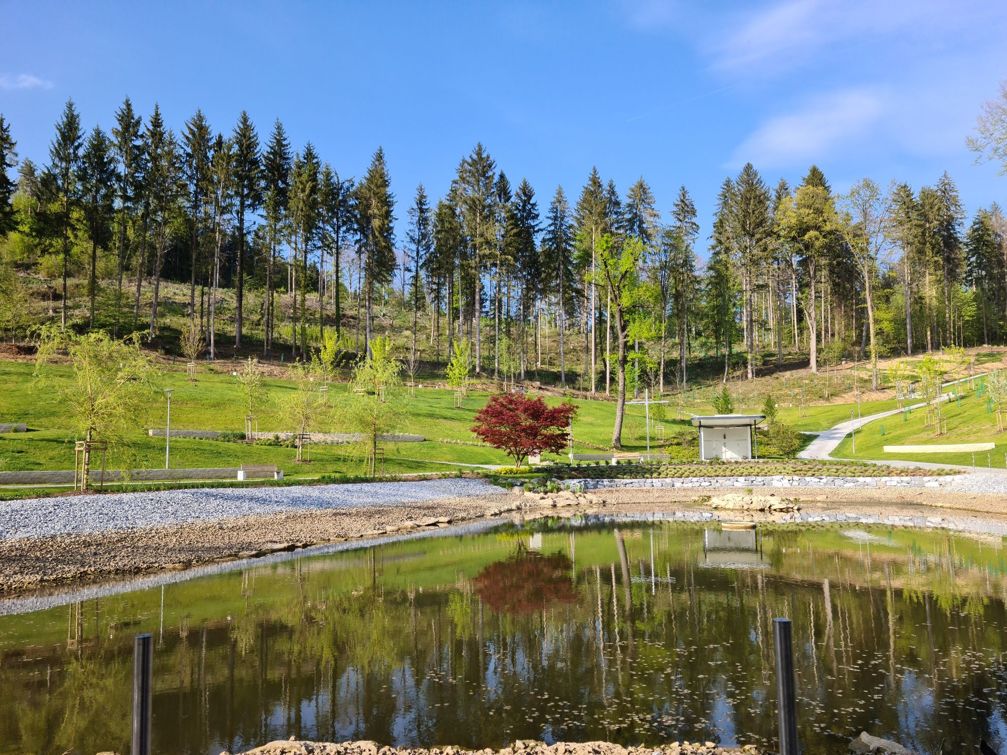 Teich am Wanderweg