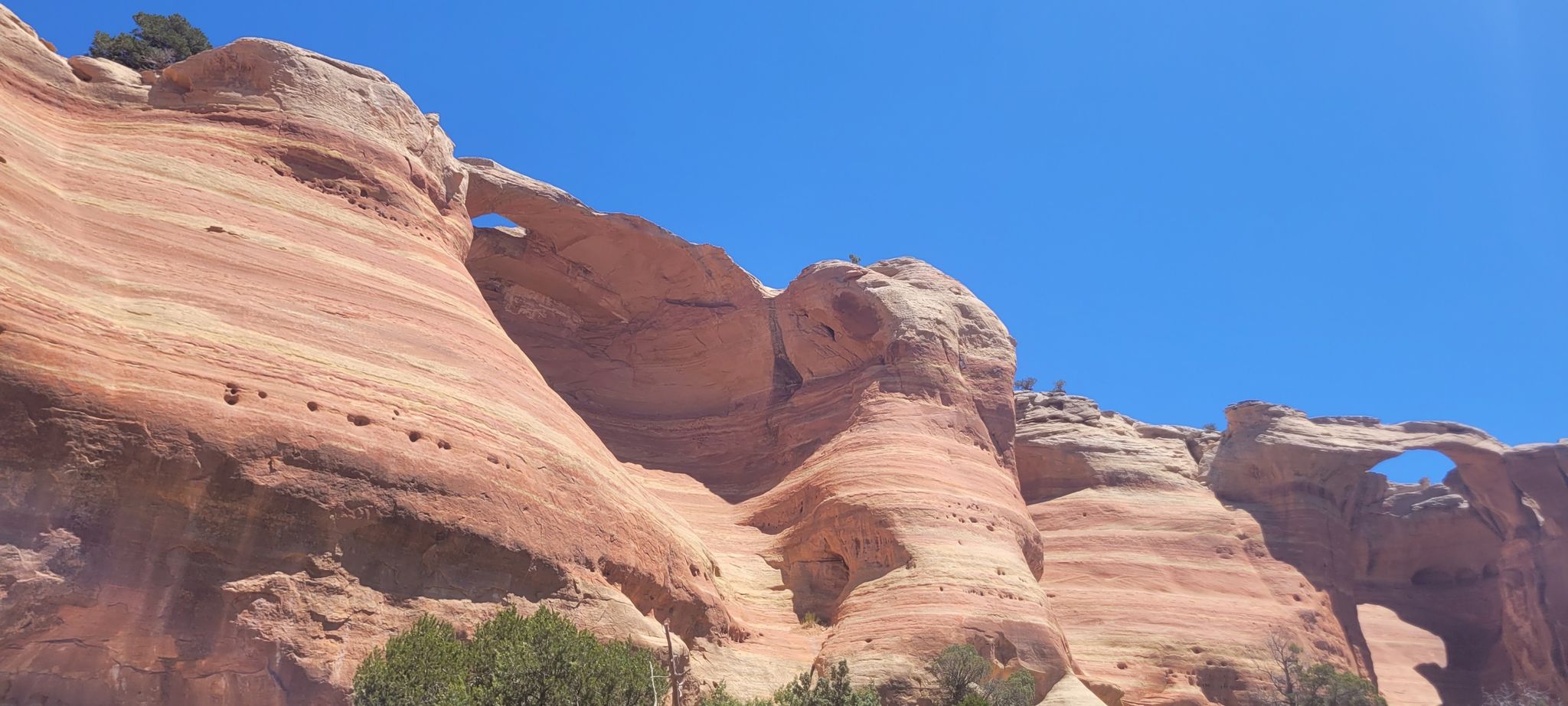 Bright red rock formations with two natural arches under a clear blue sky. - Rattlesnake Arches Loop