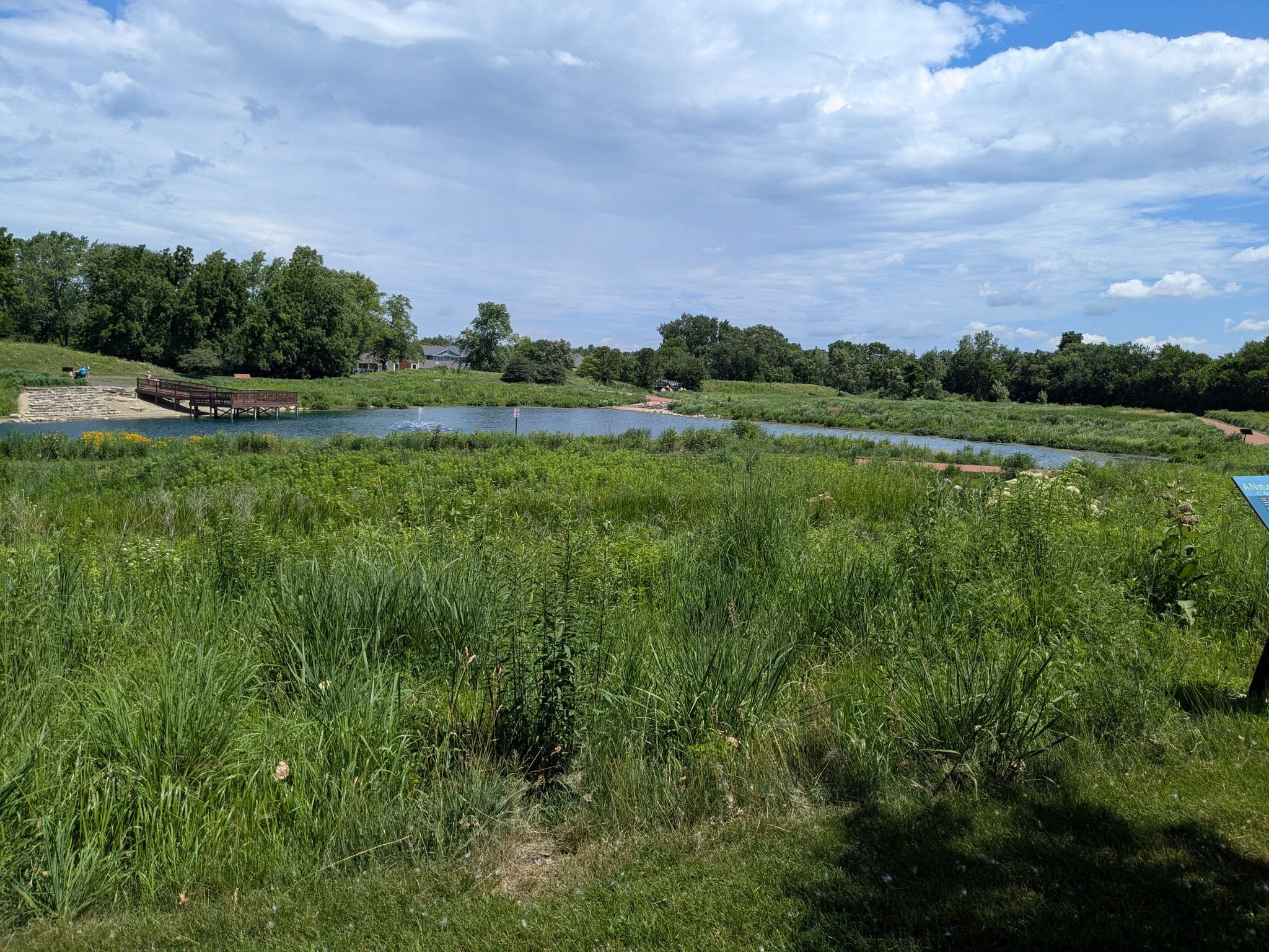 A wide view of a pond surrounded by tall green grass under a cloudy sky. - Gun Club Lake loop from Frankfort Square
