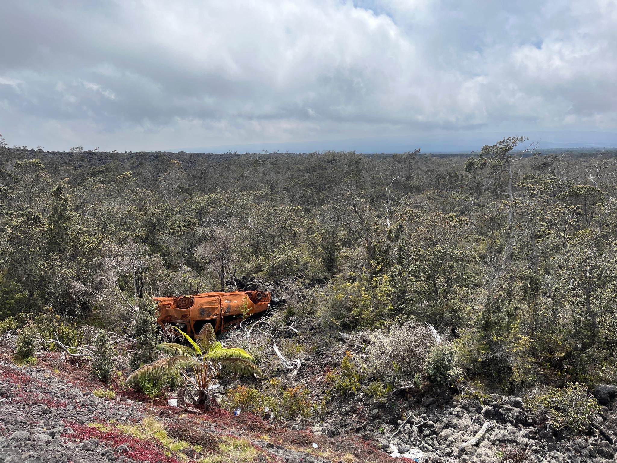 O que fazer around Hilo