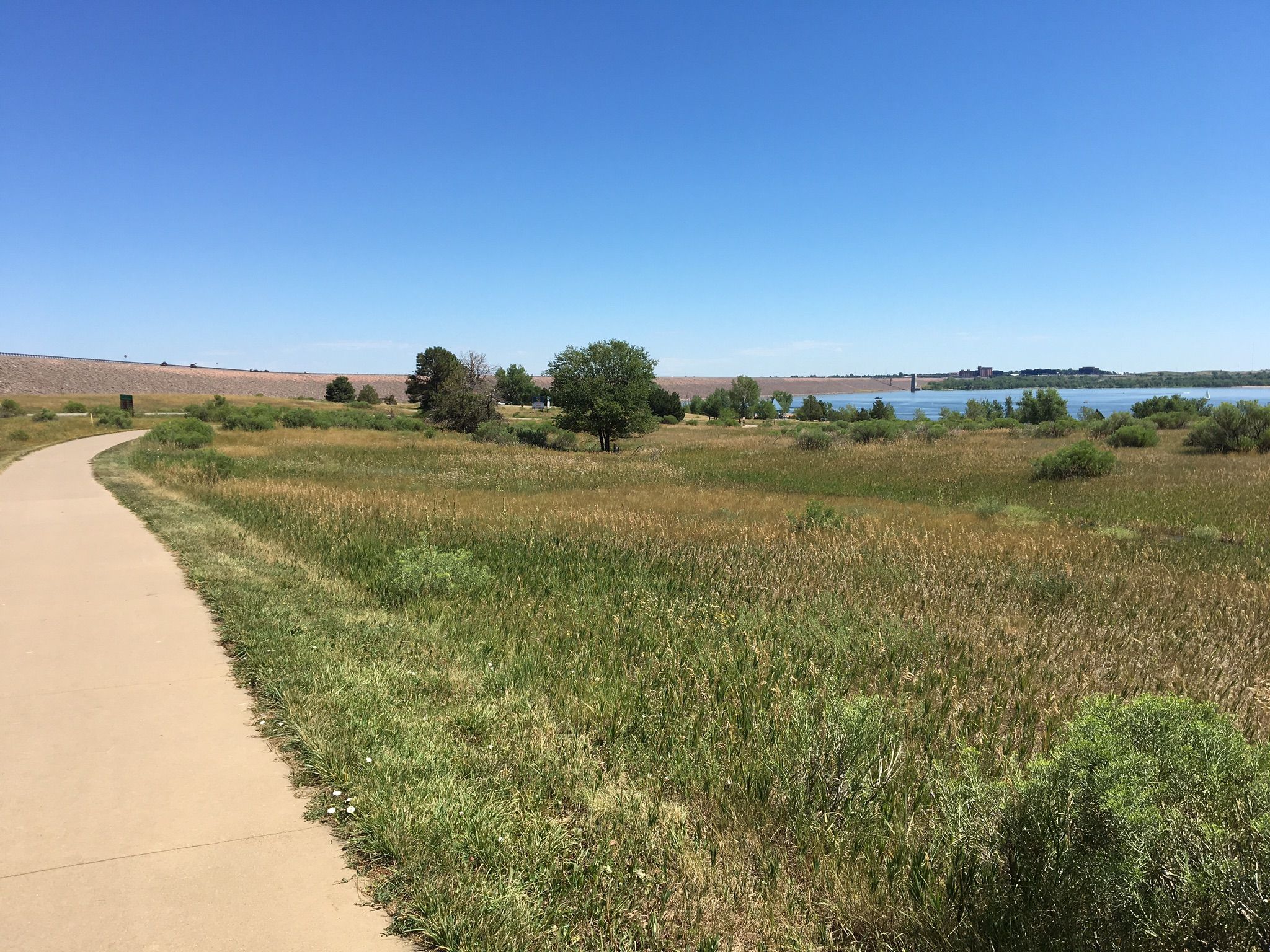 Paved path next to a grassy field with a distant lake under clear sky. - Cherry Creek Trail