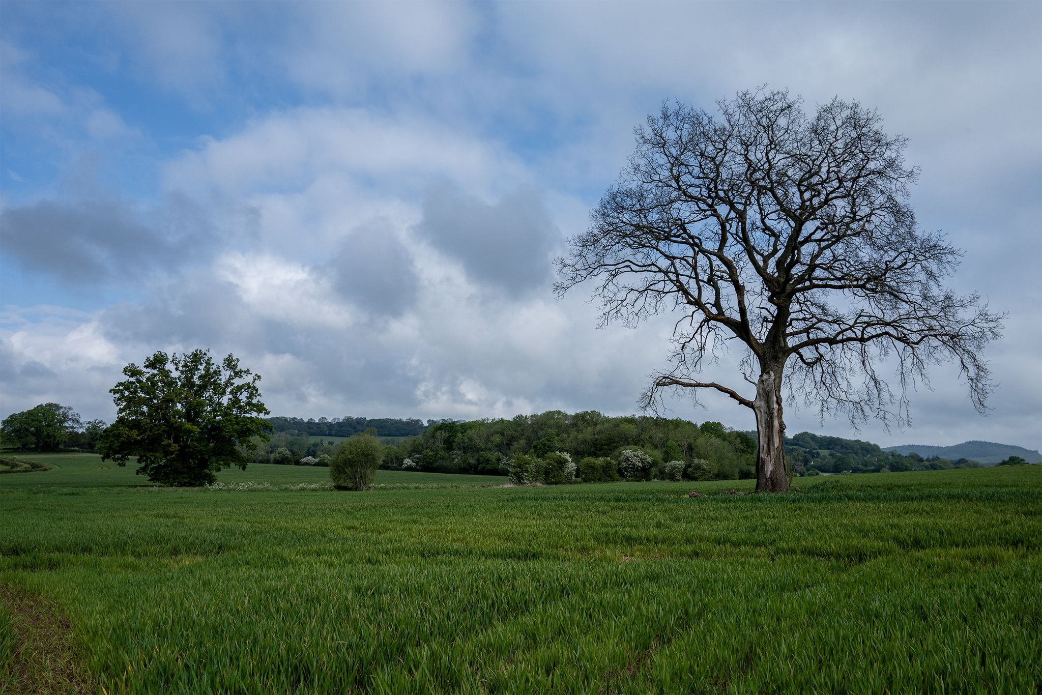 Pudford Hill from near Martley