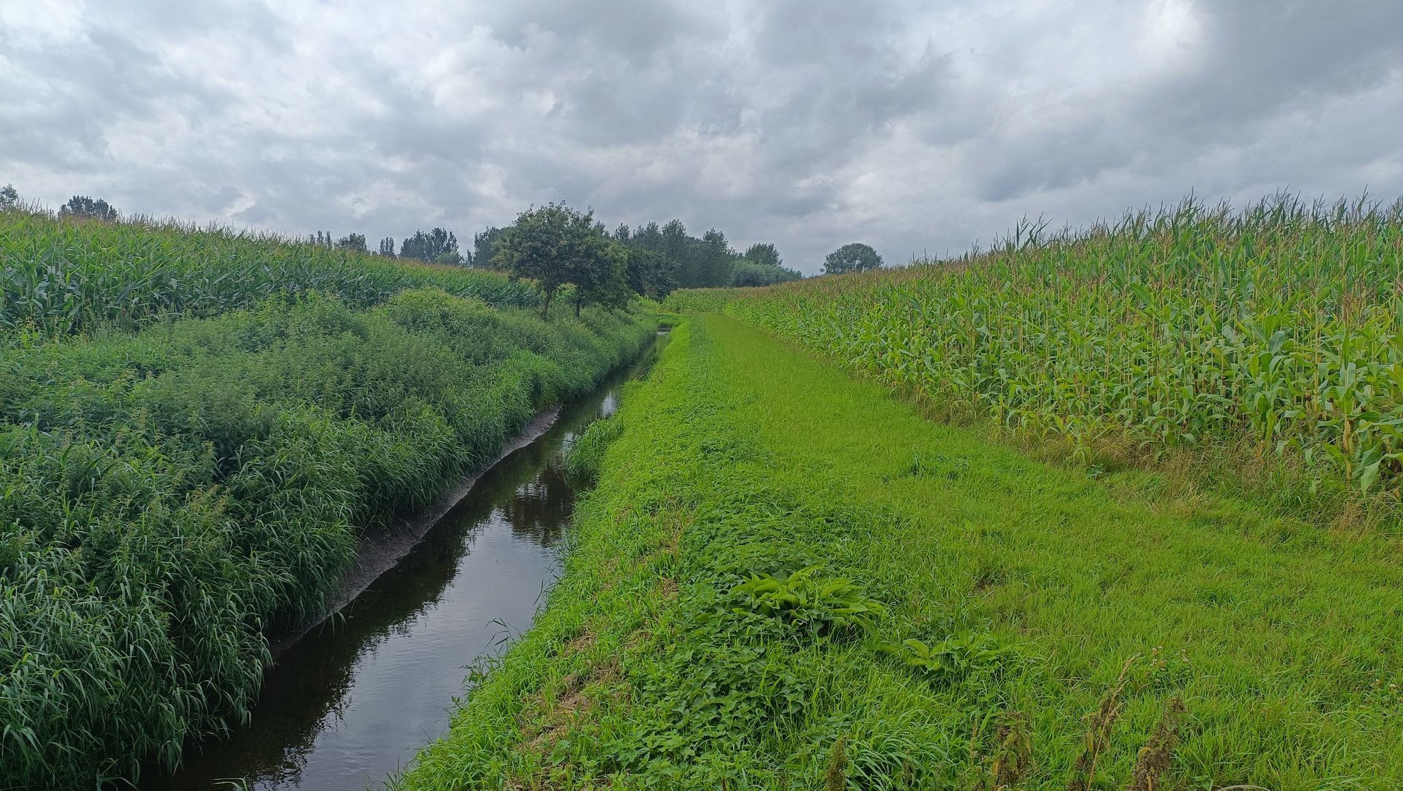 Gentwegel