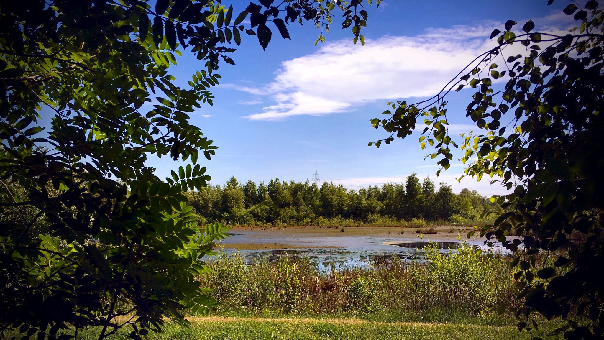 Moorschlammbecken im Kayhauser Moor