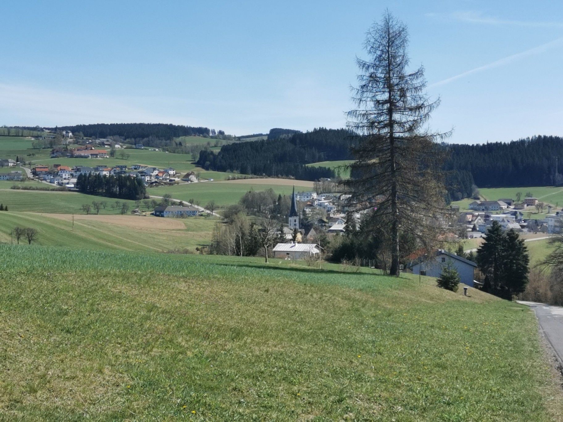 Zwettl an der Rodl