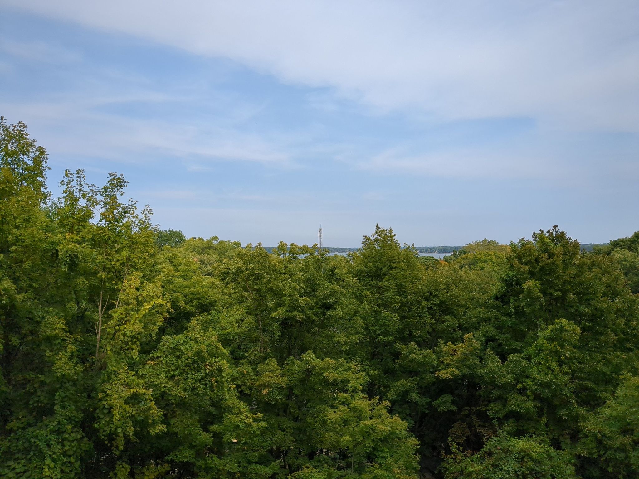 Lush green treetops stretch towards distant water under a bright blue sky. - Mount Pisgah Dune Boardwalk