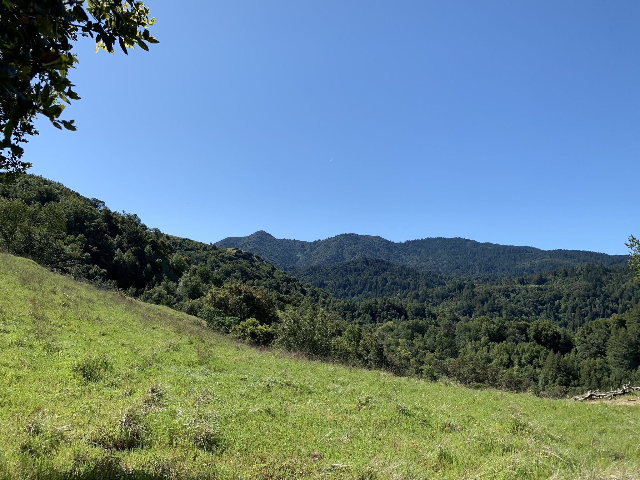 Green grassy slope overlooking forested mountains under a bright blue sky. - Deer Park Loop