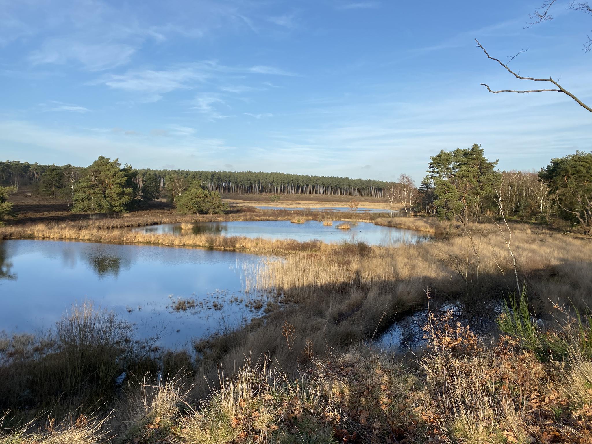 O que descobrir em Brakwaterschorren Langsheen De Schelde Ten Noorden ...