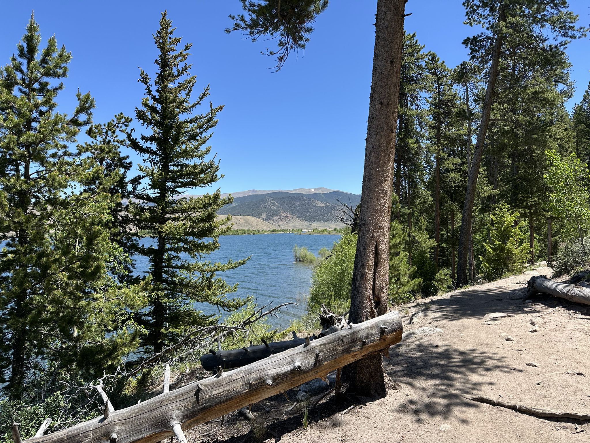 Sunny lake view through pine trees, with a dirt path and fallen log. - Twin Lakes – Interlaken Trailhead loop from Twin Lakes Dam