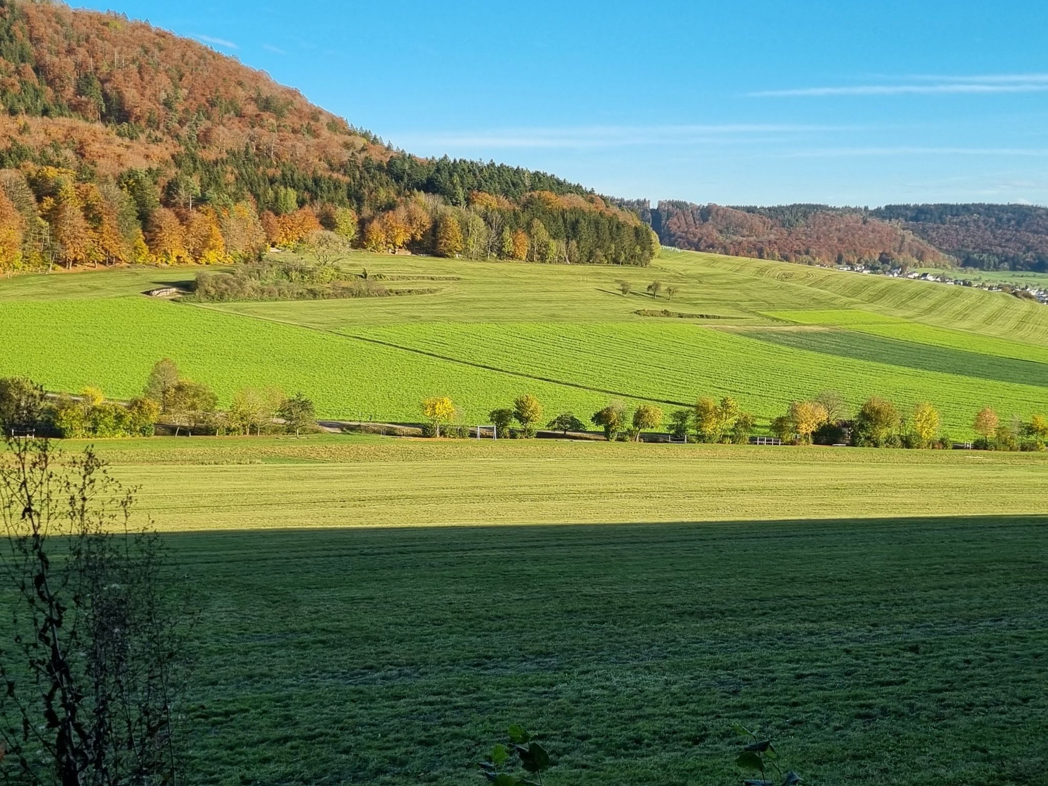 Barfusspfad  vom Waldrand aus