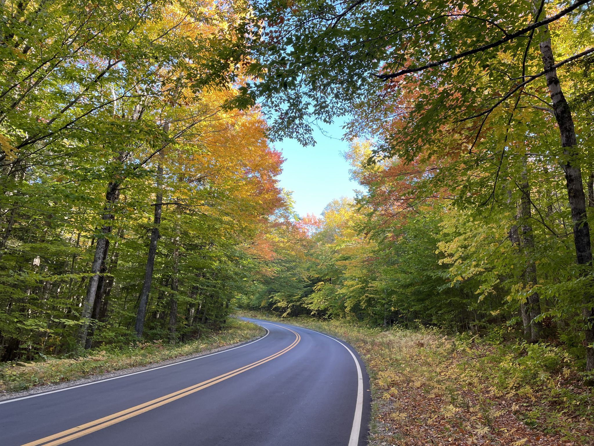 A winding road through a tunnel of colorful autumn trees under a blue sky. - Crawford Notch Street loop