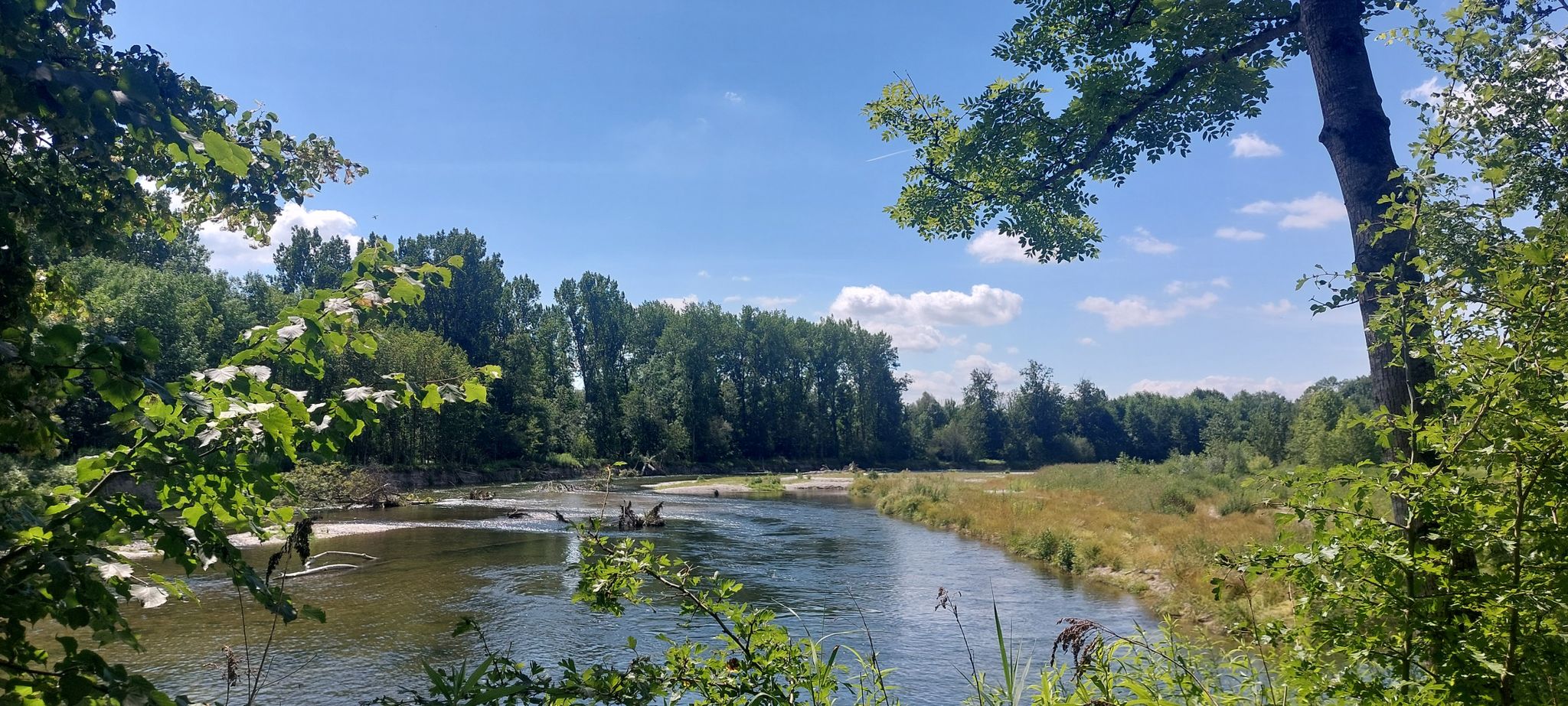 Isar kurz vor Oberhummel 