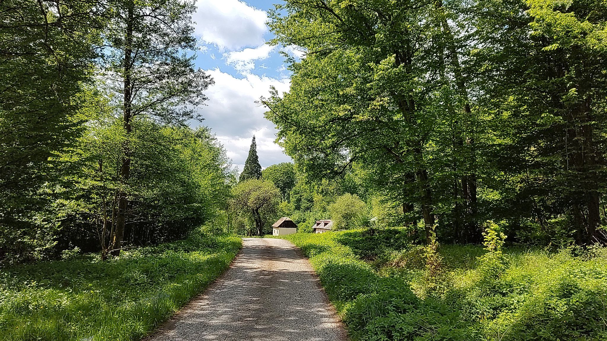 V Richnavskej doline