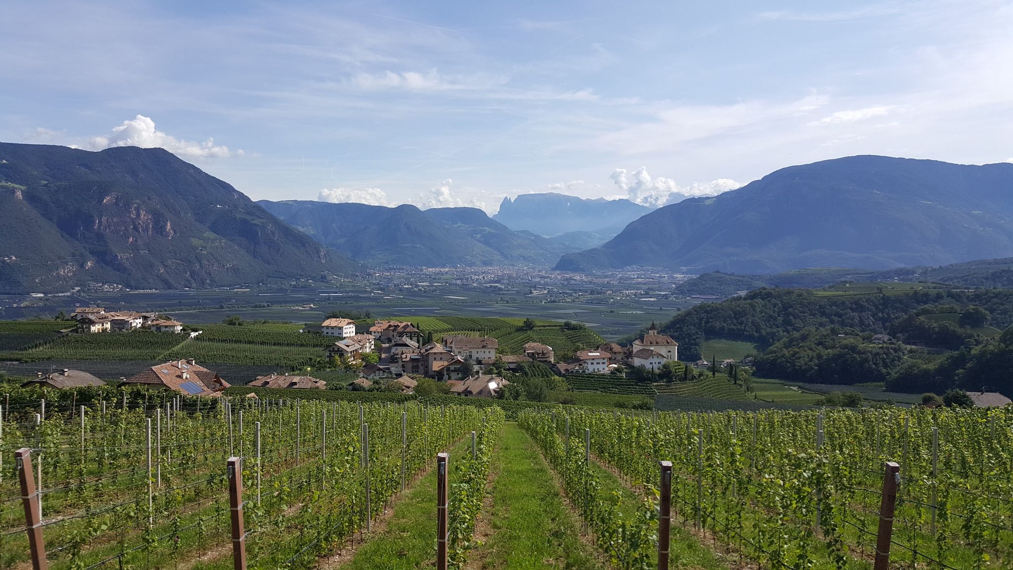 Blick auf Bozen