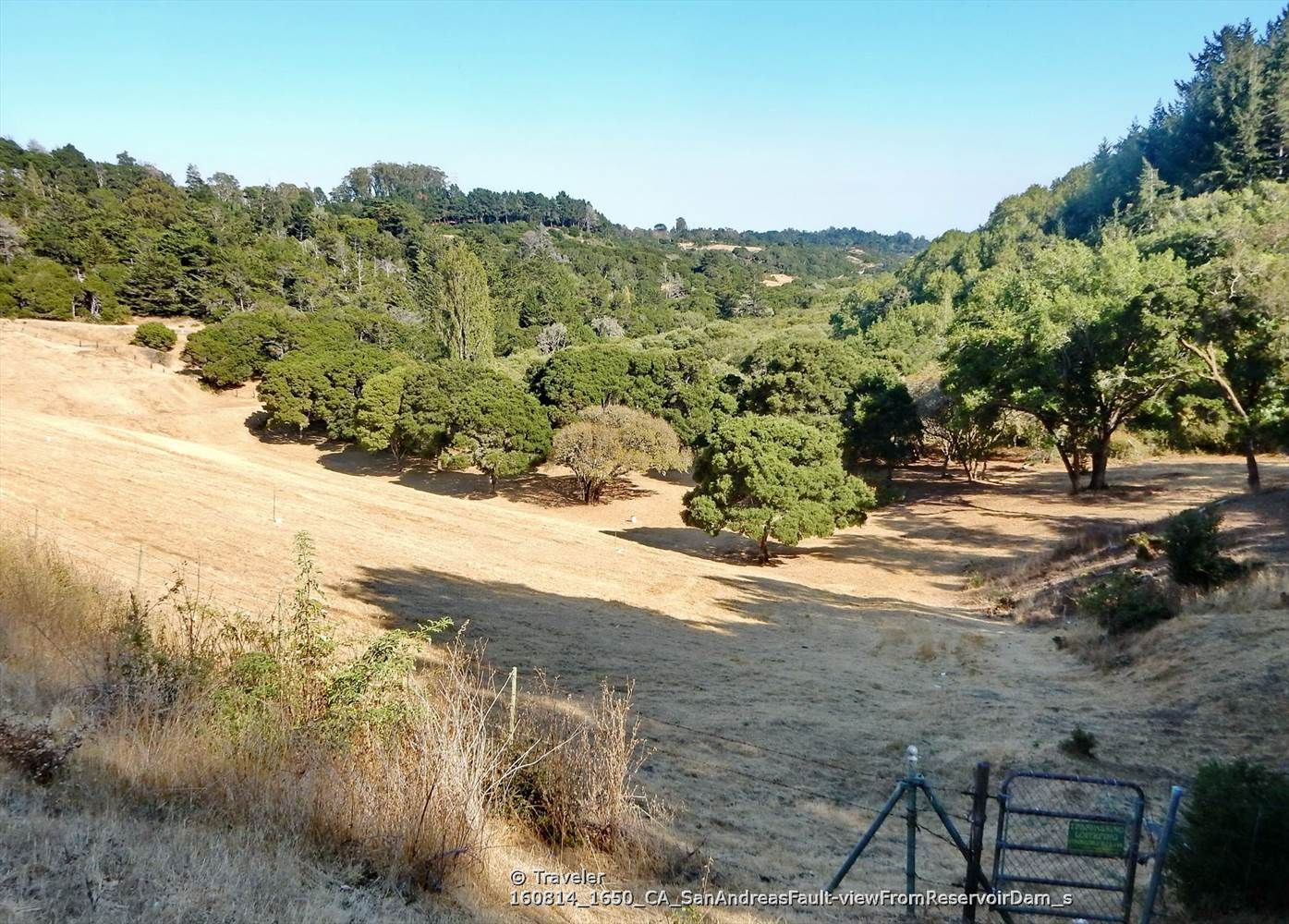 Sunny valley with golden fields, scattered trees, and forested hills. - Sawyer Camp Trail