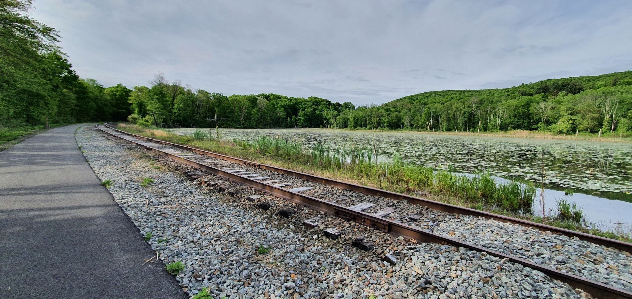 Old railroad tracks run beside a marshy lake with green hills. - Lake Carmel Loop