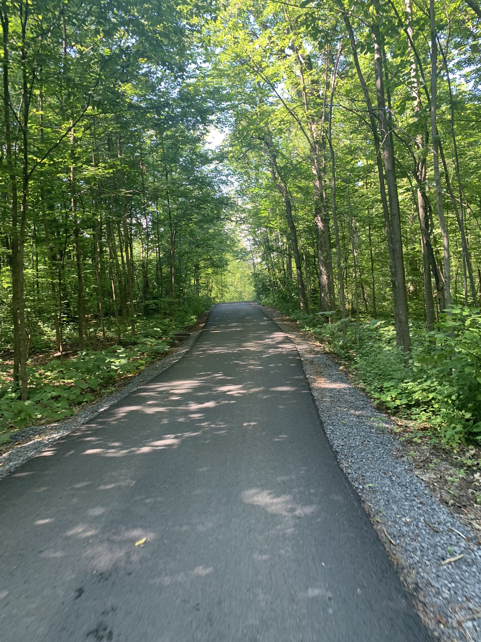 Le revêtement du chemin de l'érablière semble avoir été refait très récemment.