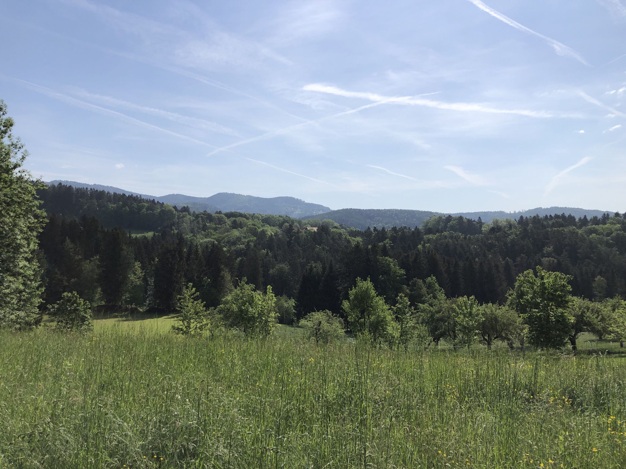 Hinter dem Eggenberg - Blick auf Rannach/Geierkogel