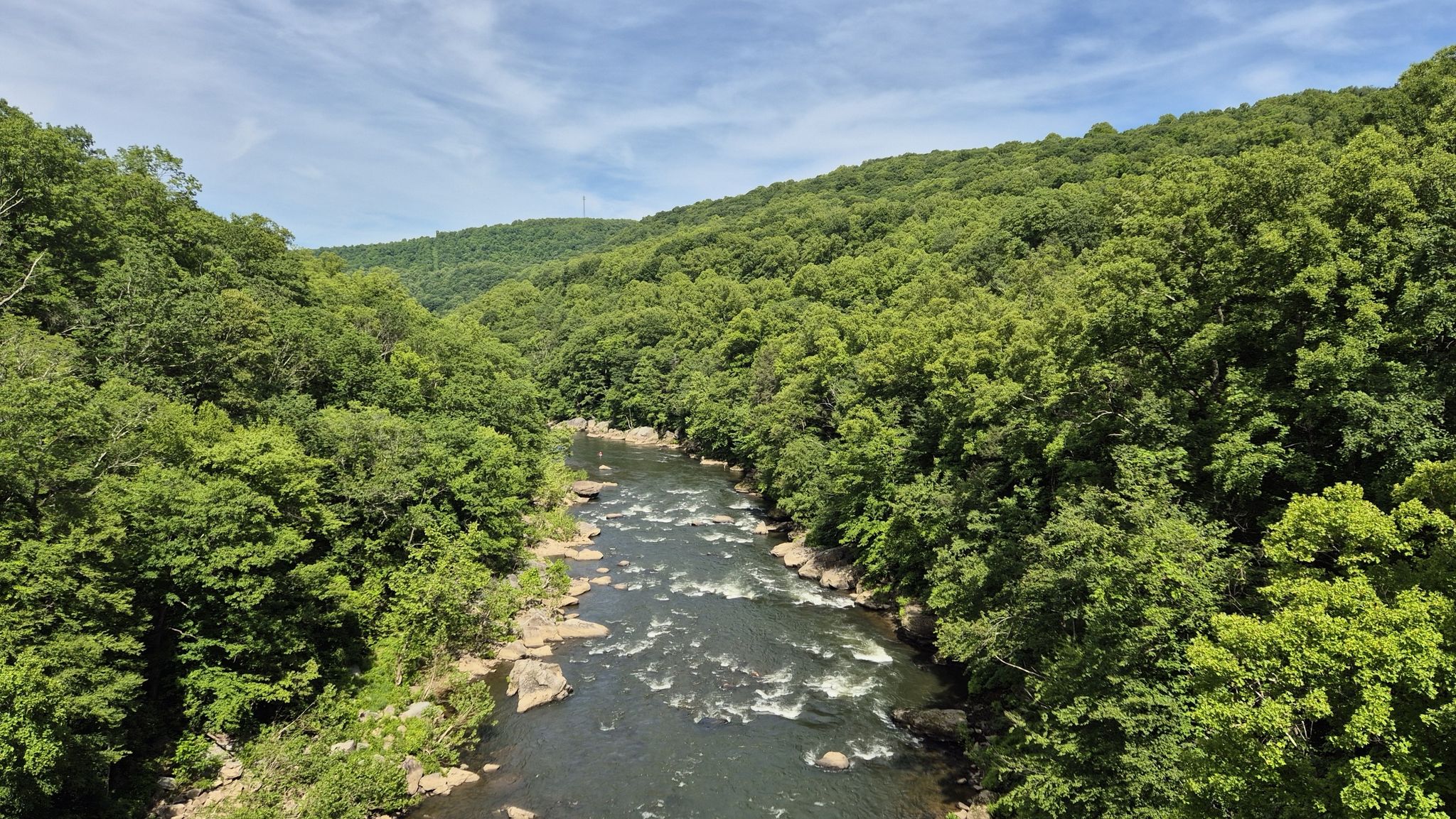 River with rapids winding through a vibrant green, forested valley. - Ohiopyle – Ohiopyle State Park loop from State Game Lands Number 111
