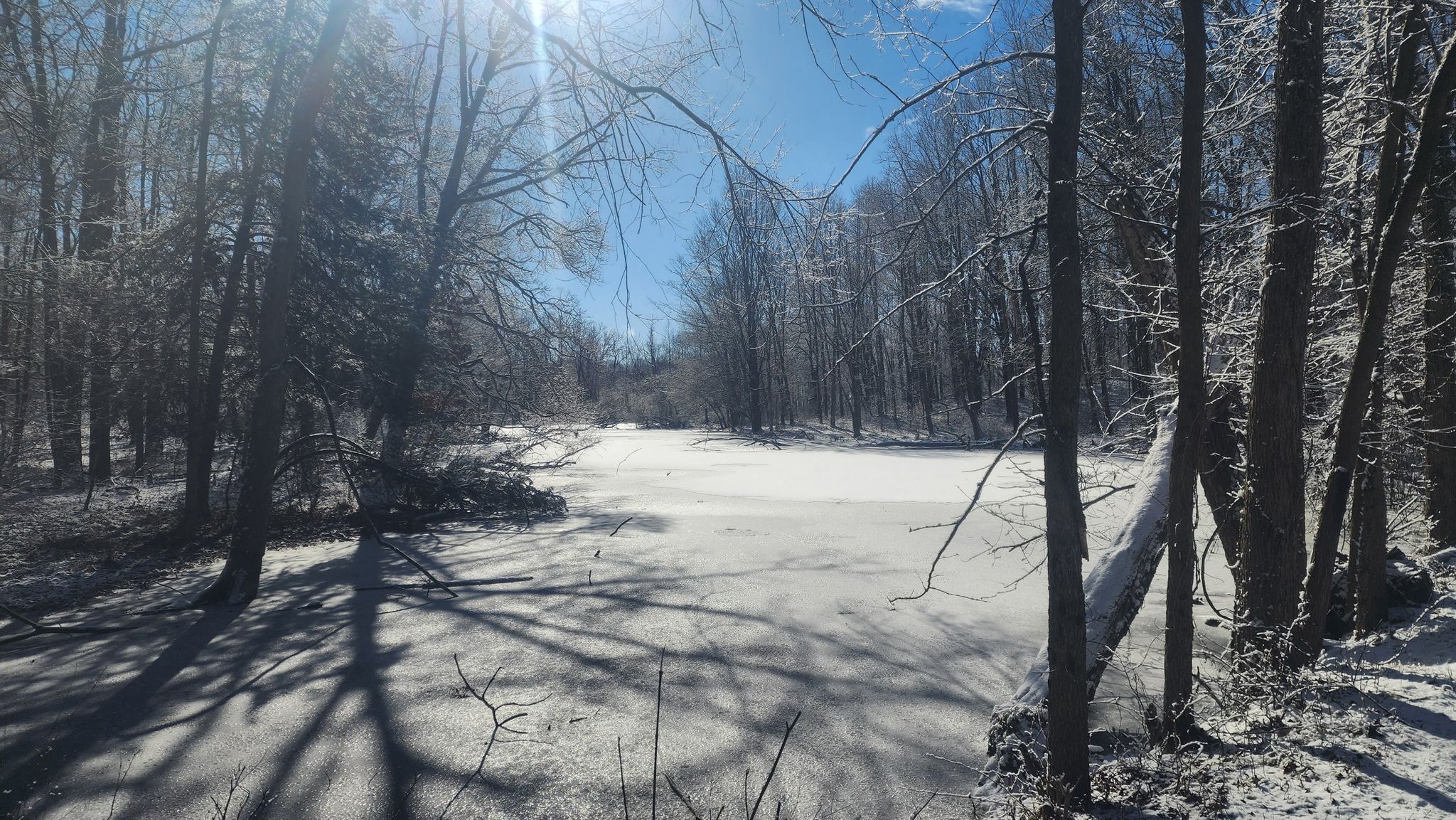 Snow-covered frozen lake surrounded by bare trees under a bright sun. - Spirit Springs Sanctuary Trail