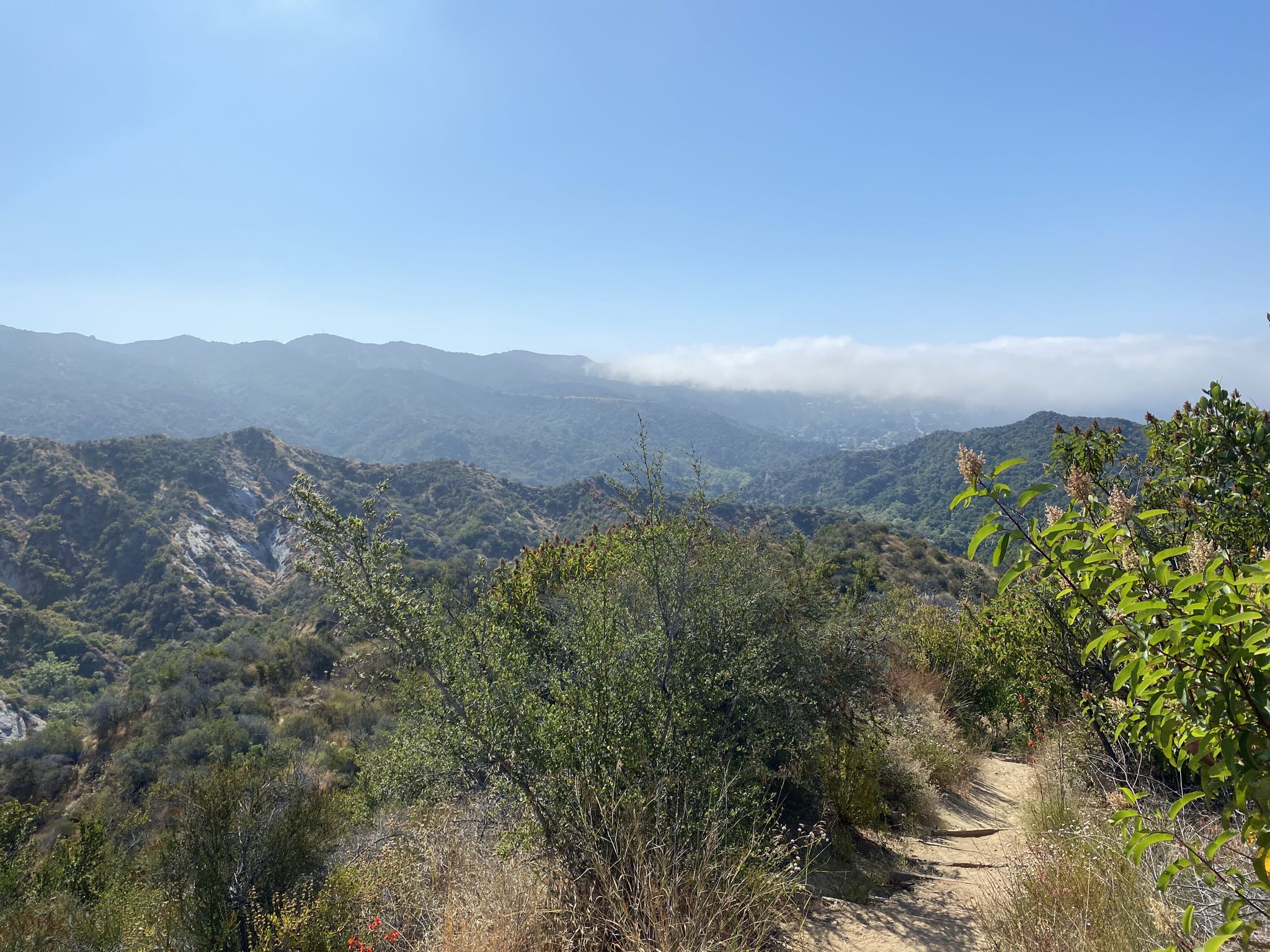 Dirt trail winding through green hills under a bright sky with distant mountains. - Eagle Rock Loop