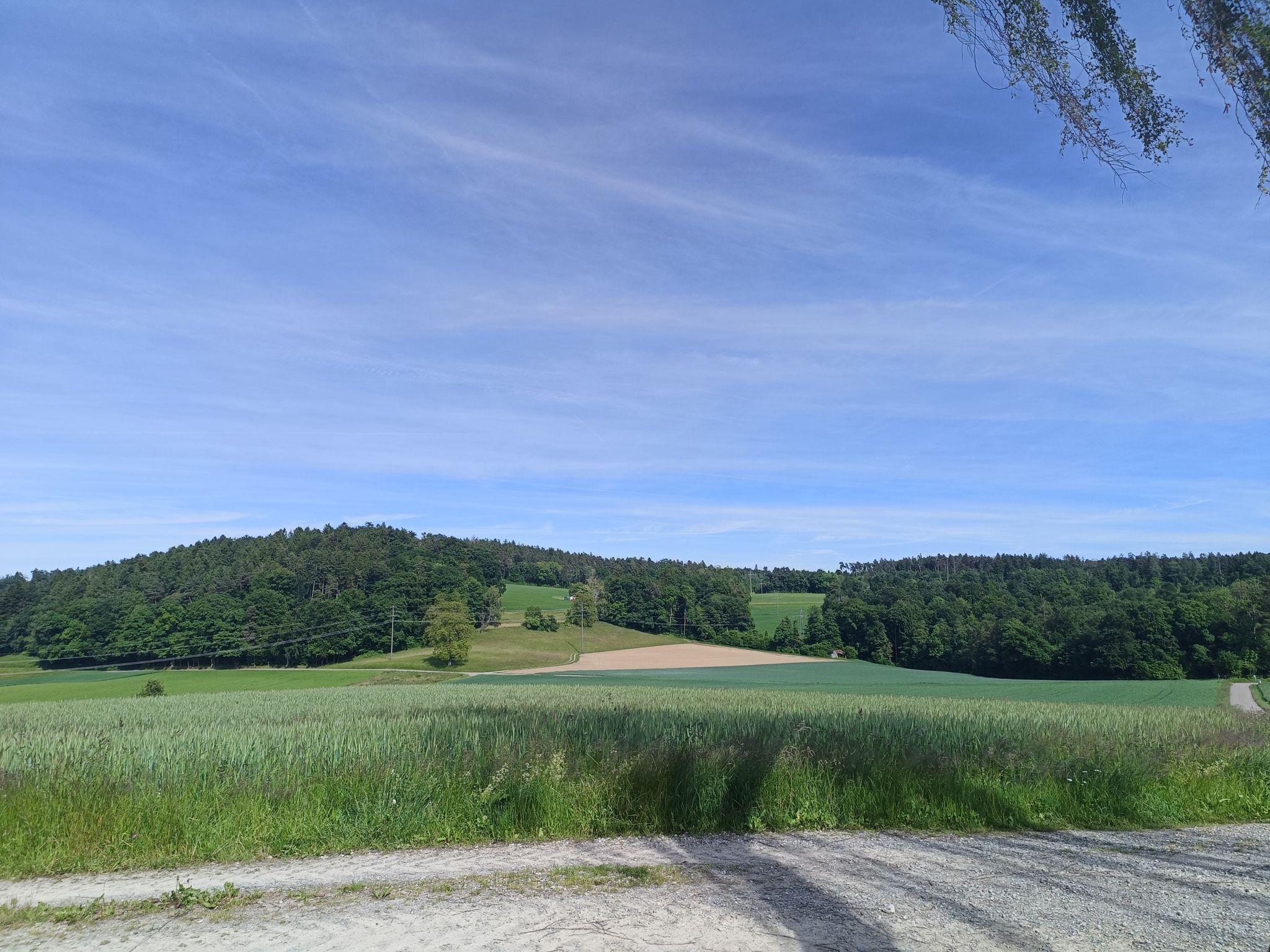 Rhuige Gegend