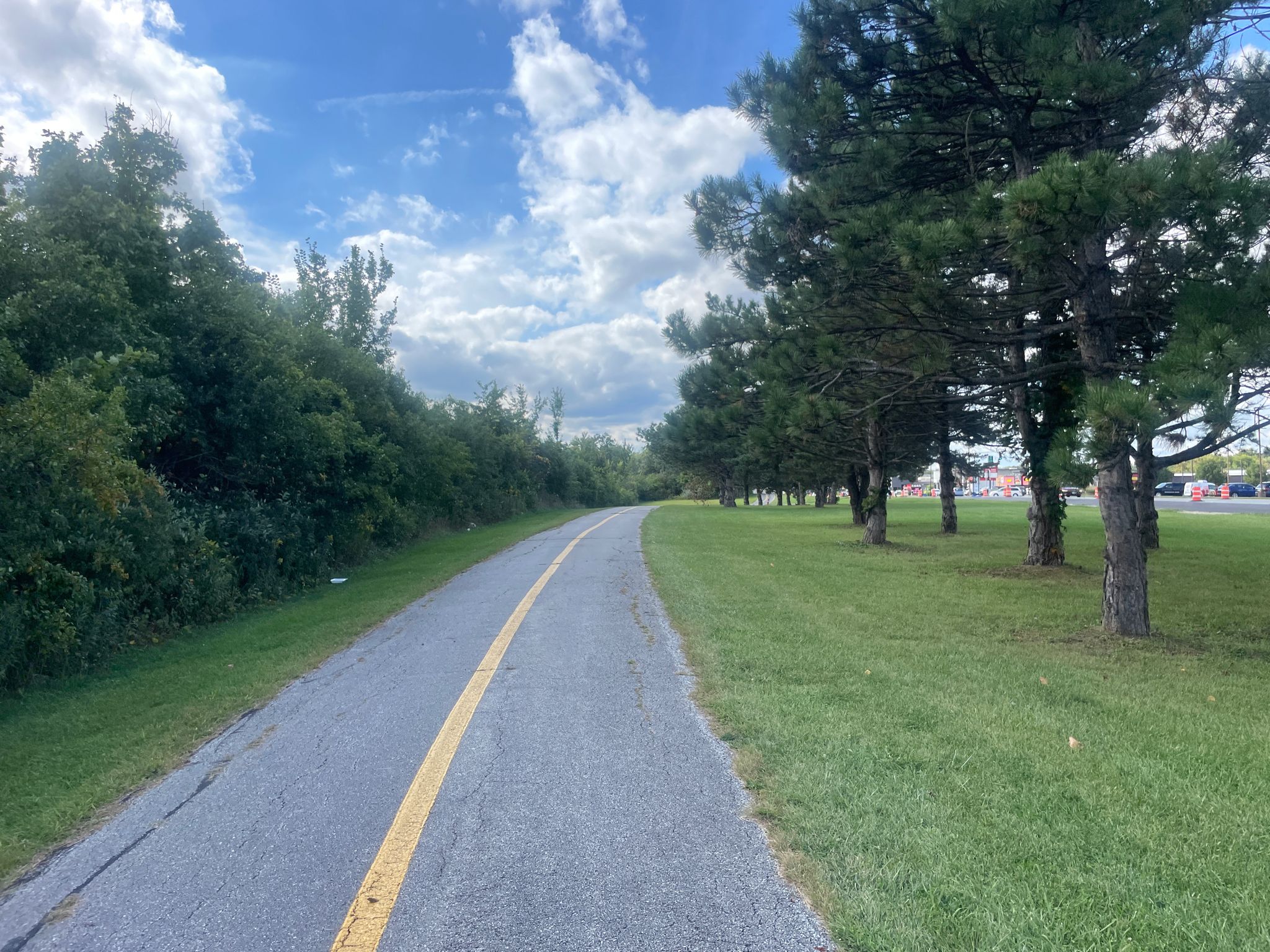 Paved path with a yellow line, bordered by trees and green grass. - Tinley Creek Red, Green, and Purple Trails