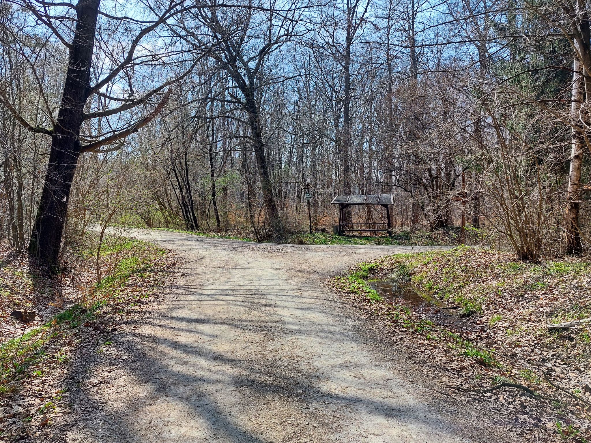 Rastplatz an Wegegabelung