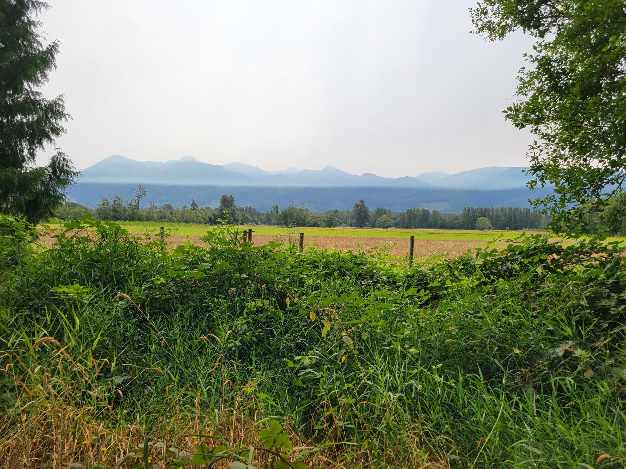 A green field stretches towards hazy distant mountains under an overcast sky. - Muddy Creek Conservation area – Cascade Trail loop from Fruitdale Rd. near Job Corps