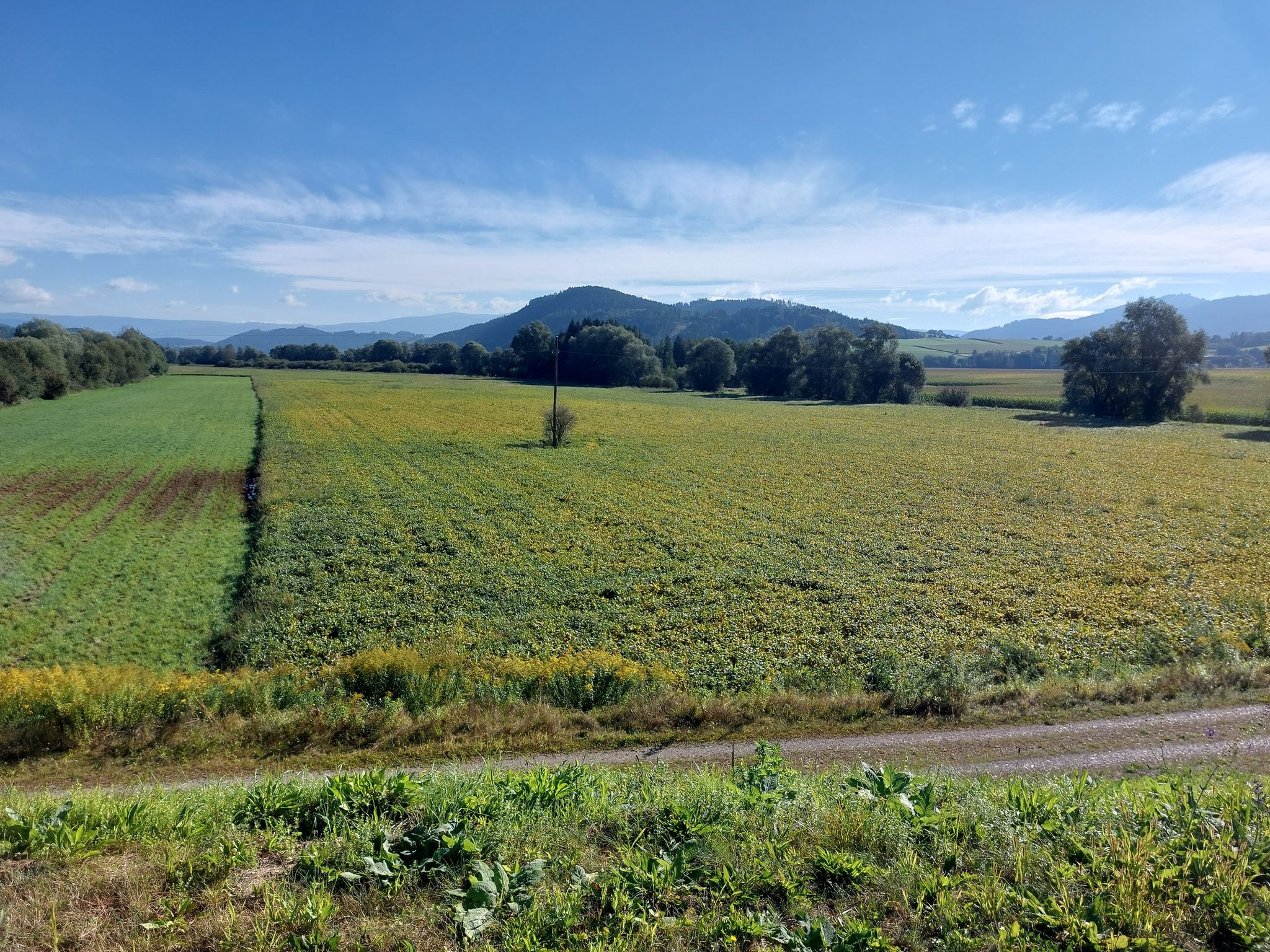 Die ersten 6 km durch die Moorwiesen der Glan