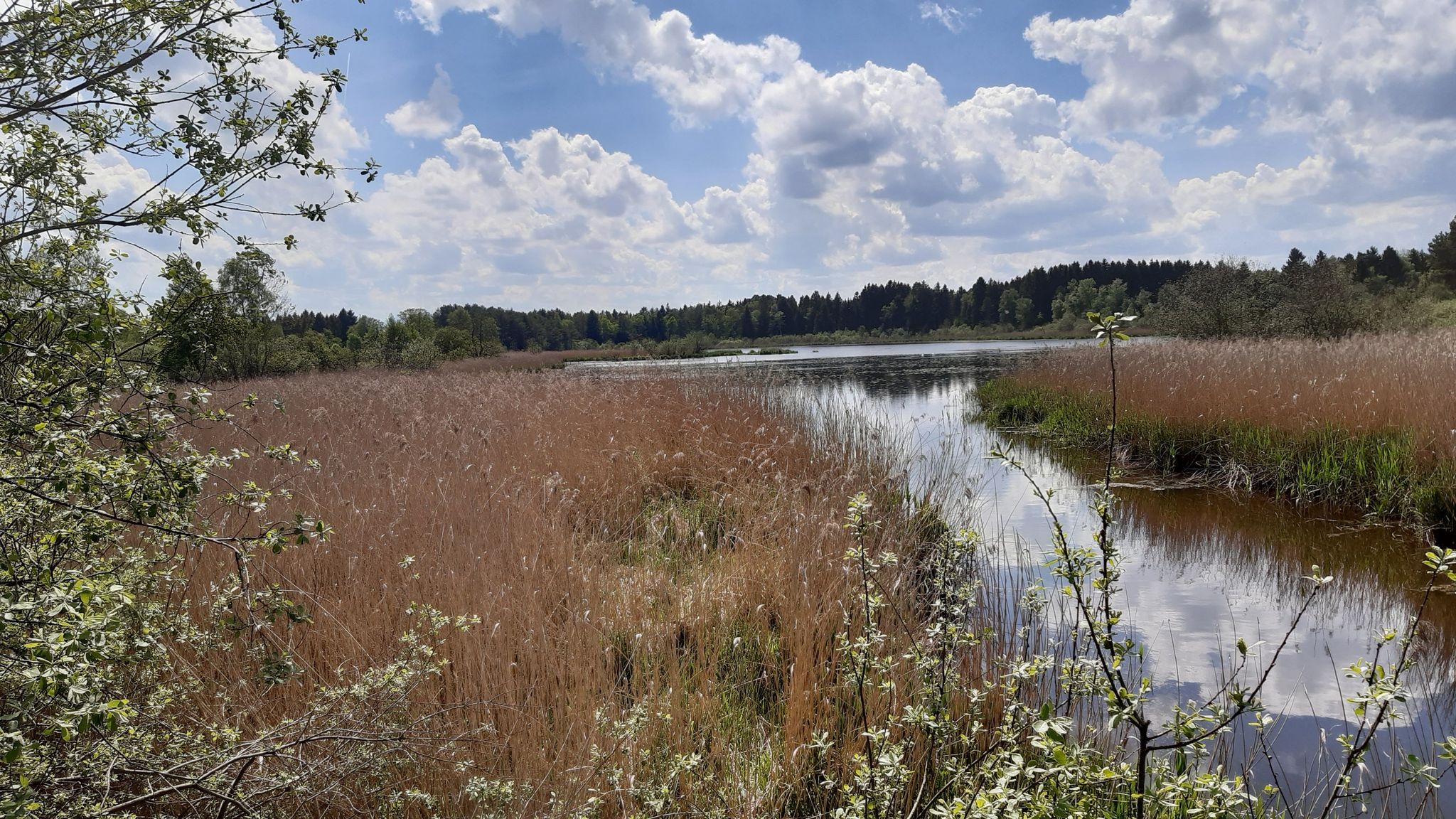 Zillhamer See