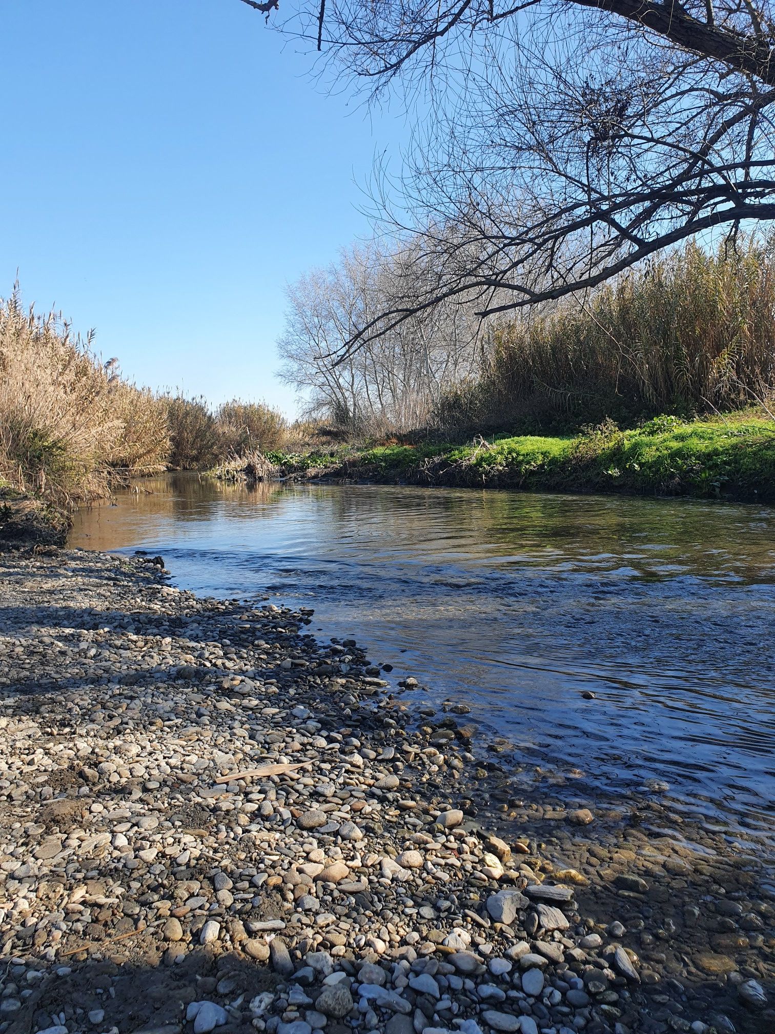 Río Genil