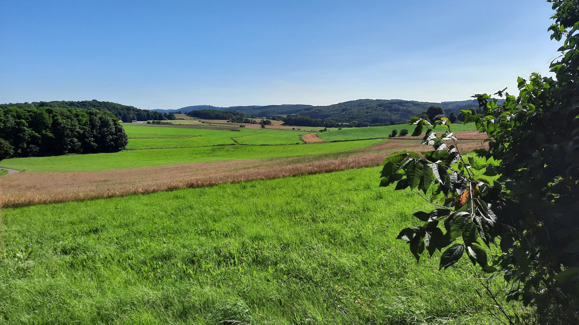 Landschaft am Bostalsee