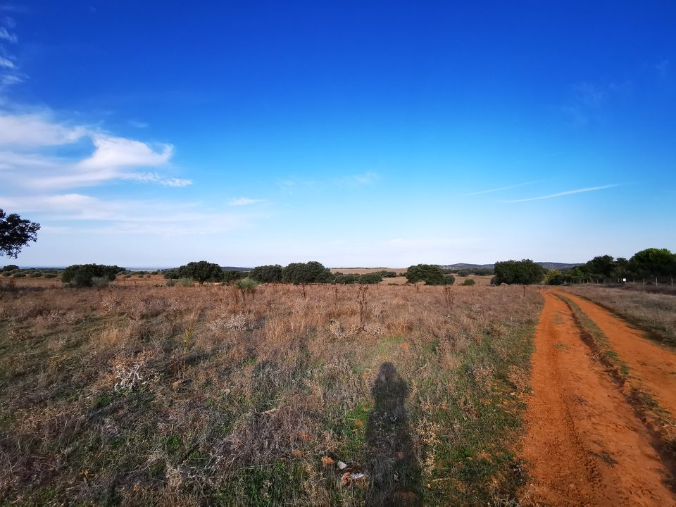 Unterwegs in der Natur
